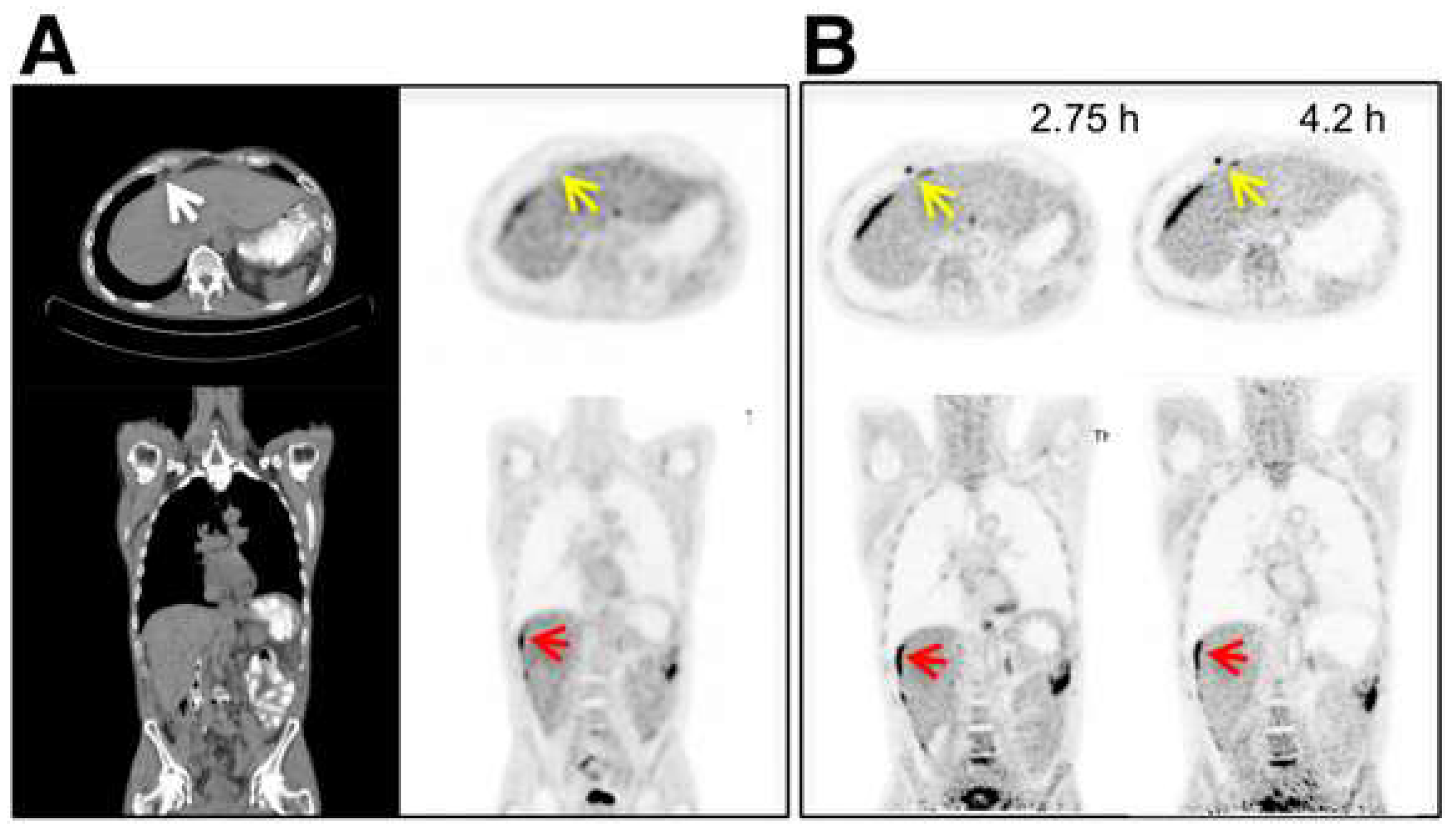Cancers 15 05173 g009 Cancers 15 05173 g009