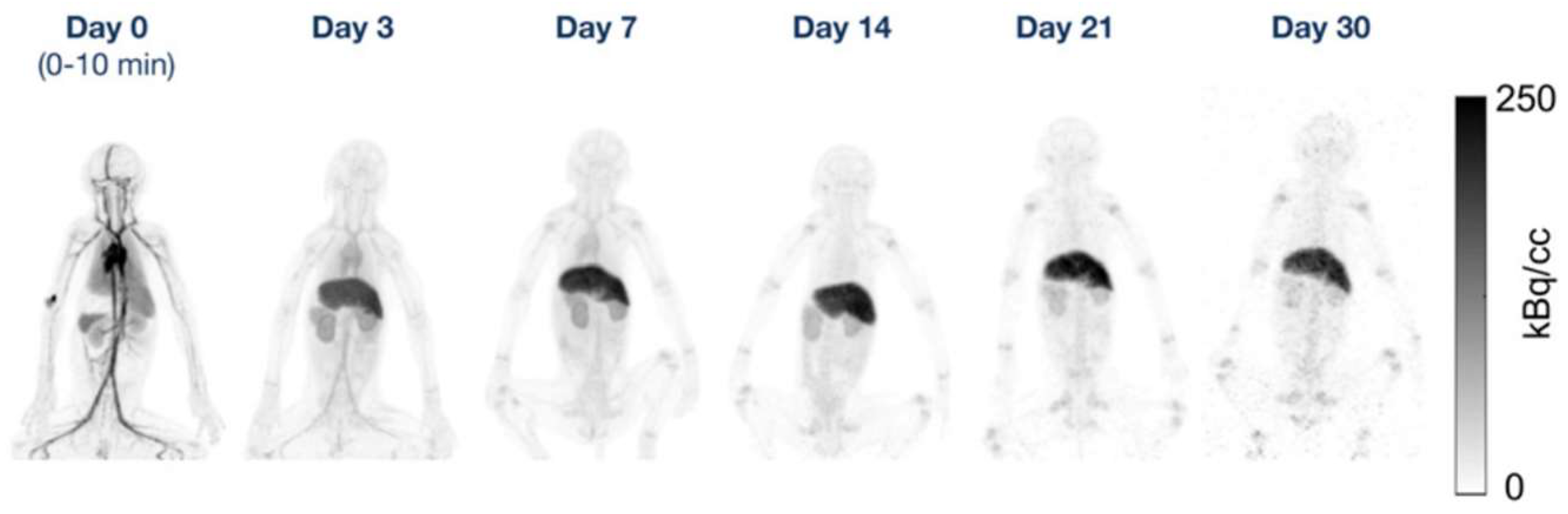 Cancers 15 05173 g011 Cancers 15 05173 g011