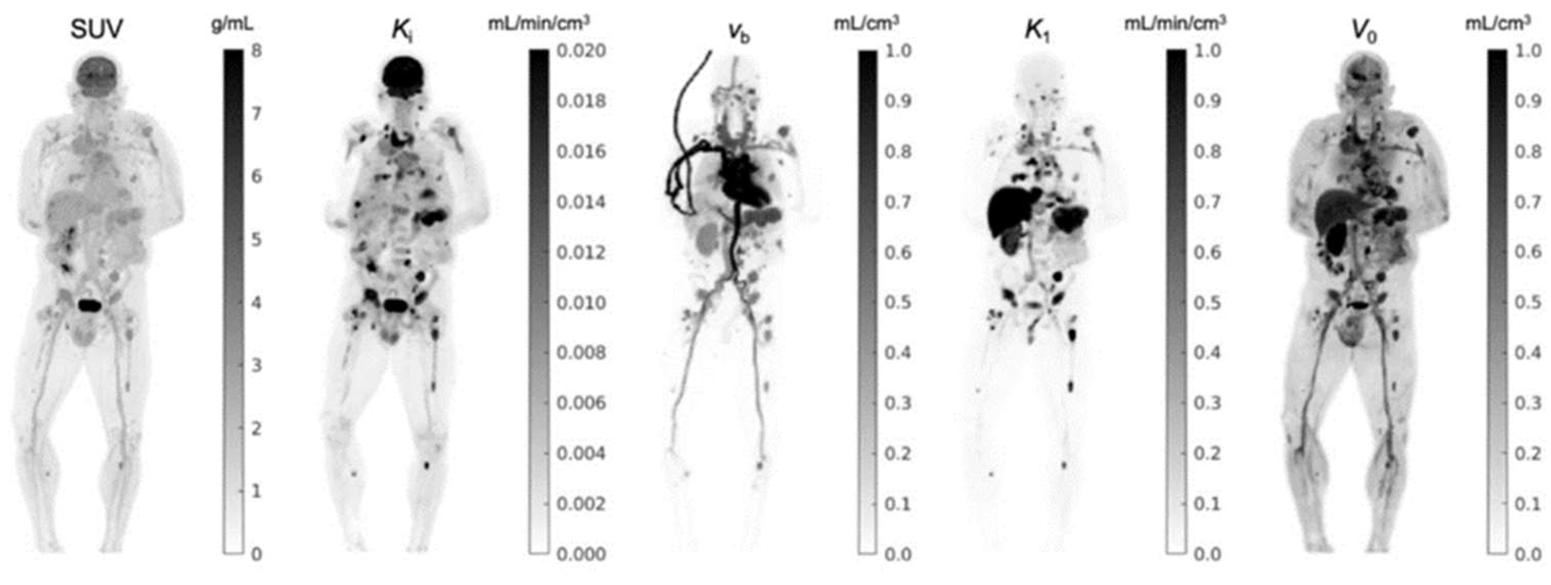 Cancers 15 05173 g012 Cancers 15 05173 g012