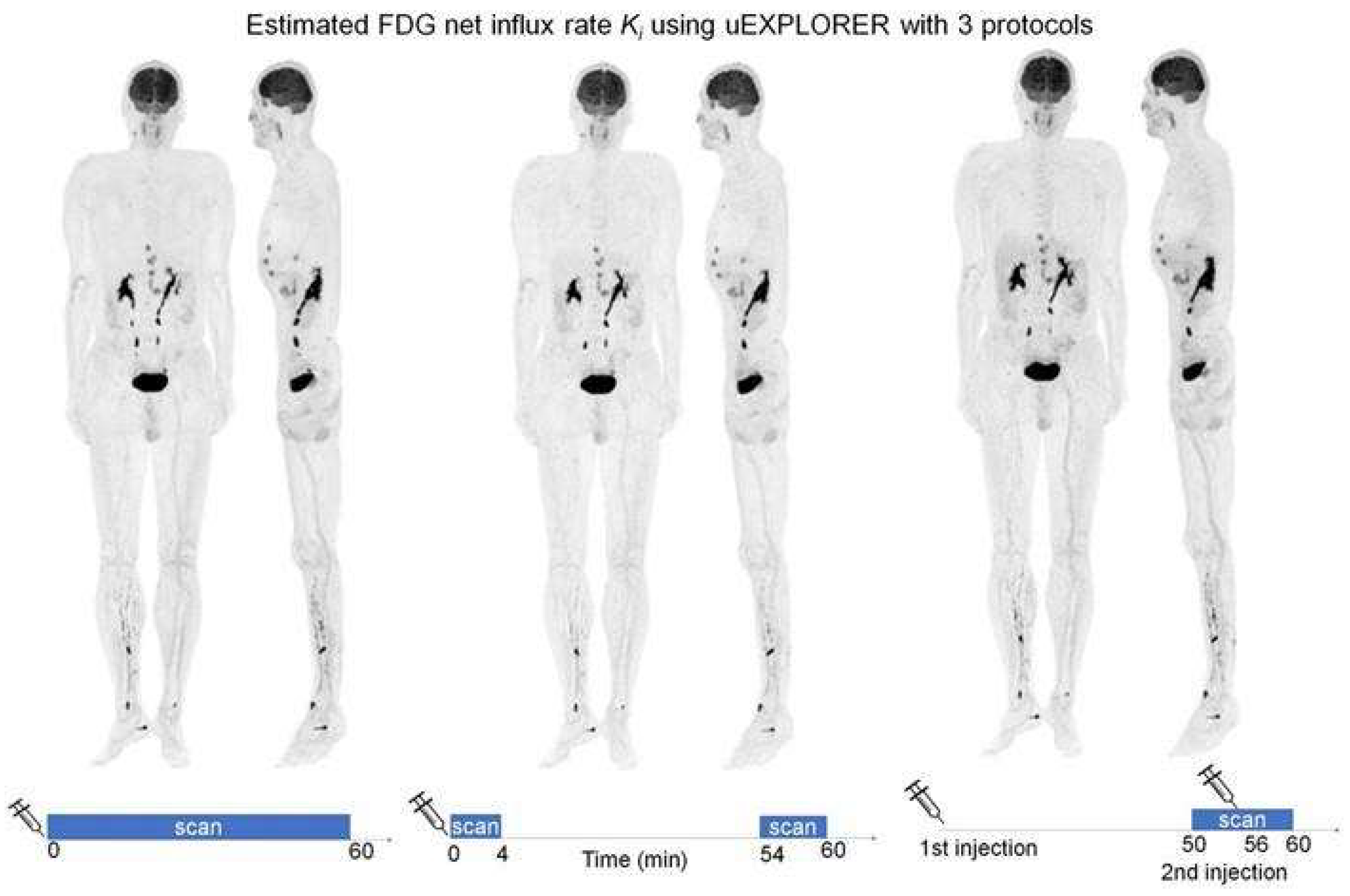 Cancers 15 05173 g013 Cancers 15 05173 g013