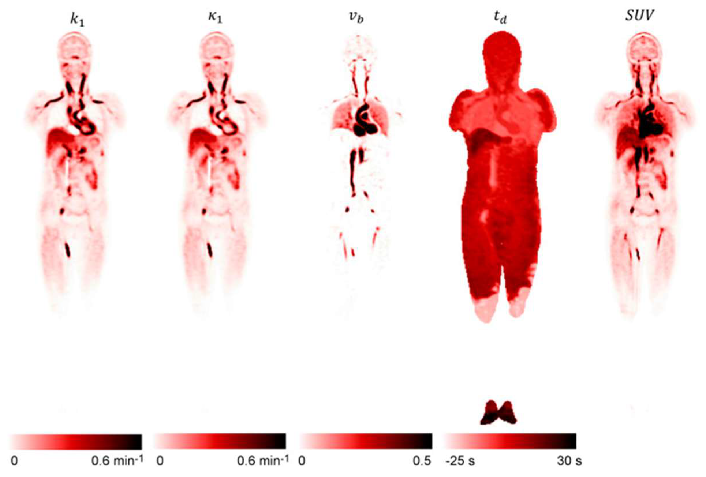 Cancers 15 05173 g014 Cancers 15 05173 g014