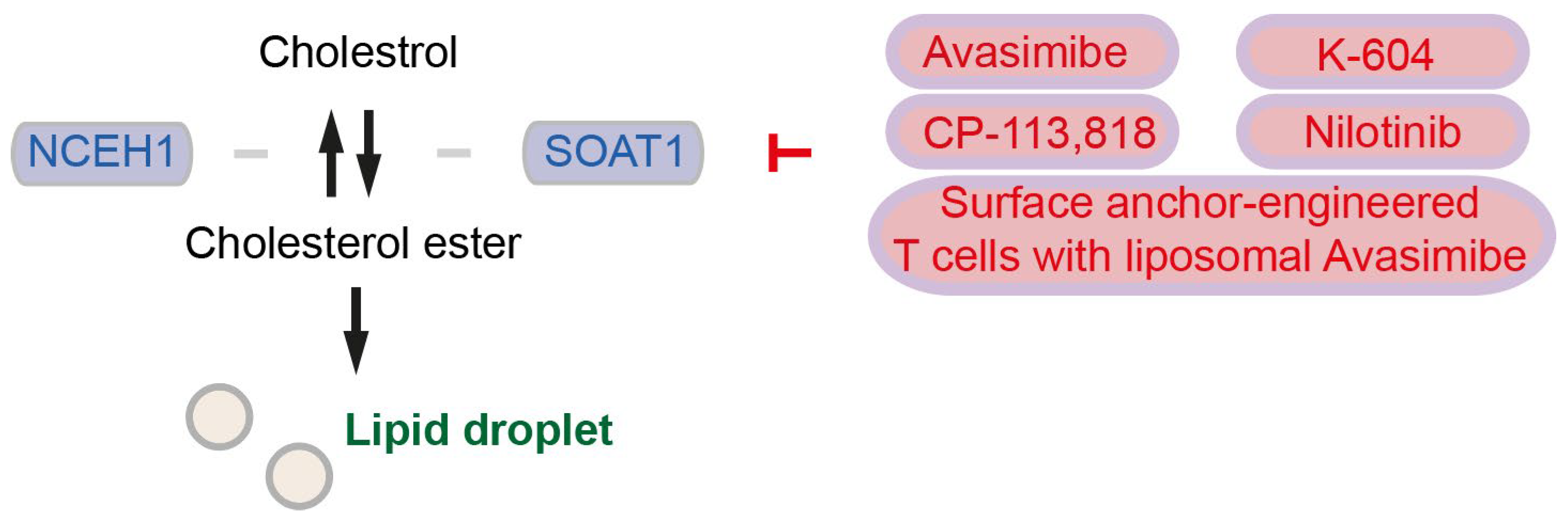 Cancers 15 05177 g002 Cancers 15 05177 g002