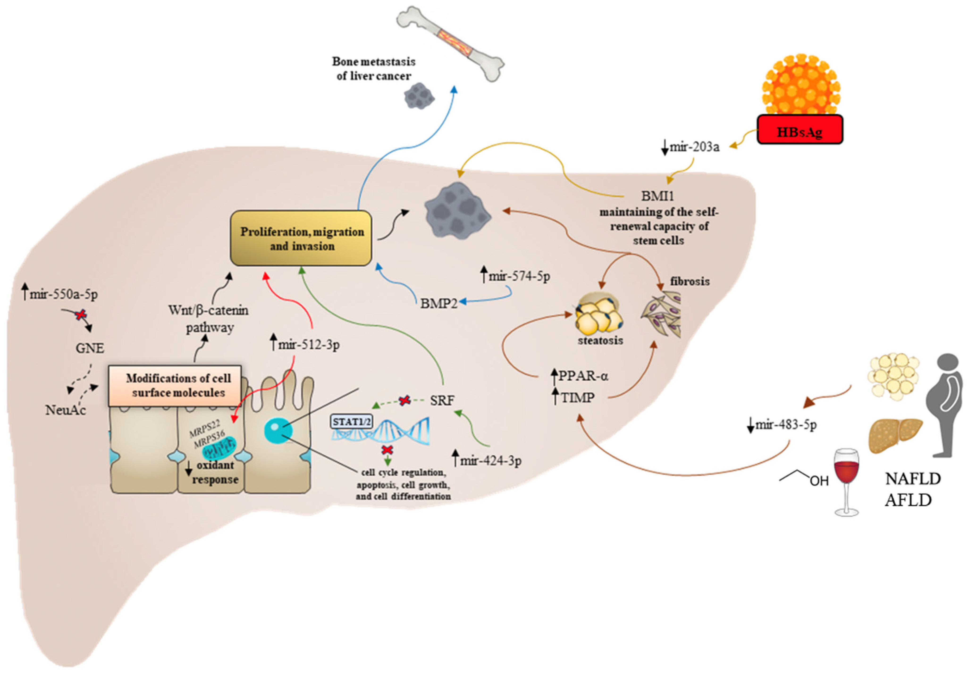 Cancers 15 05178 g002 Cancers 15 05178 g002
