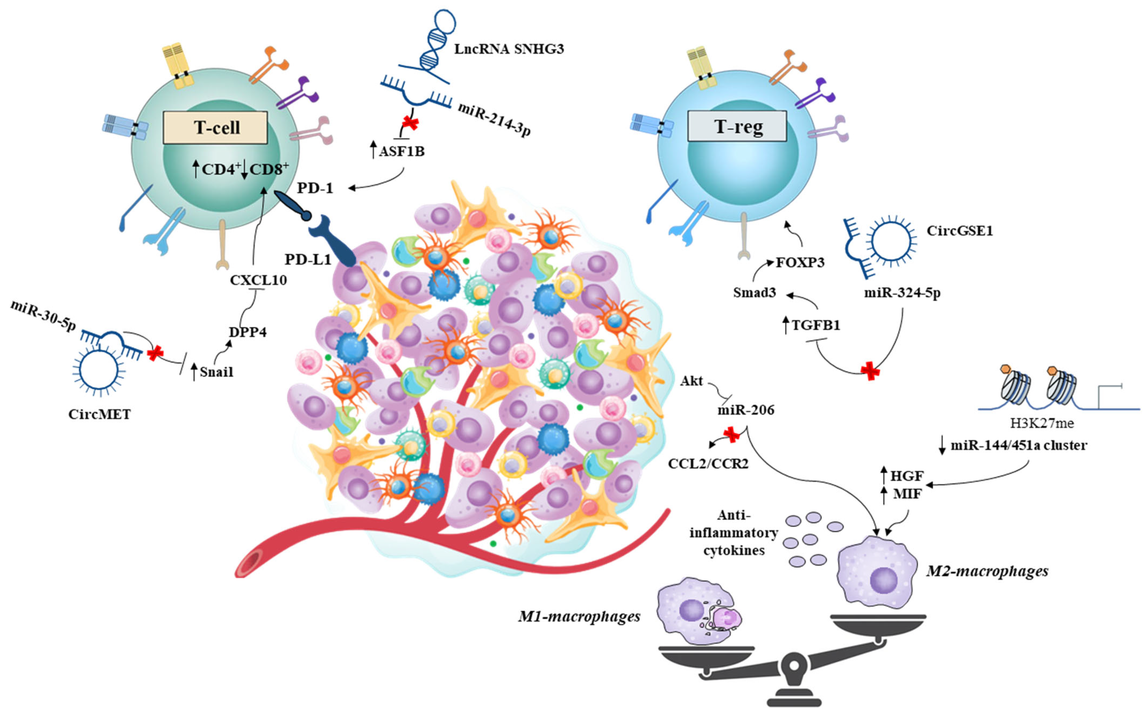 Cancers 15 05178 g003 Cancers 15 05178 g003