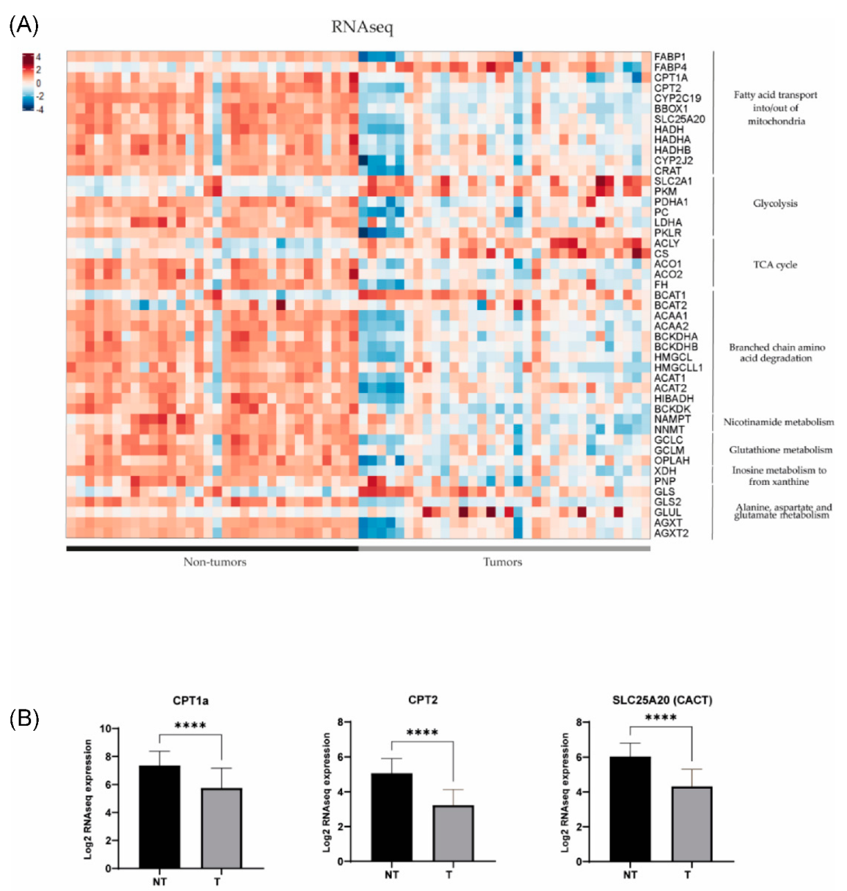 Cancers 15 05182 g003