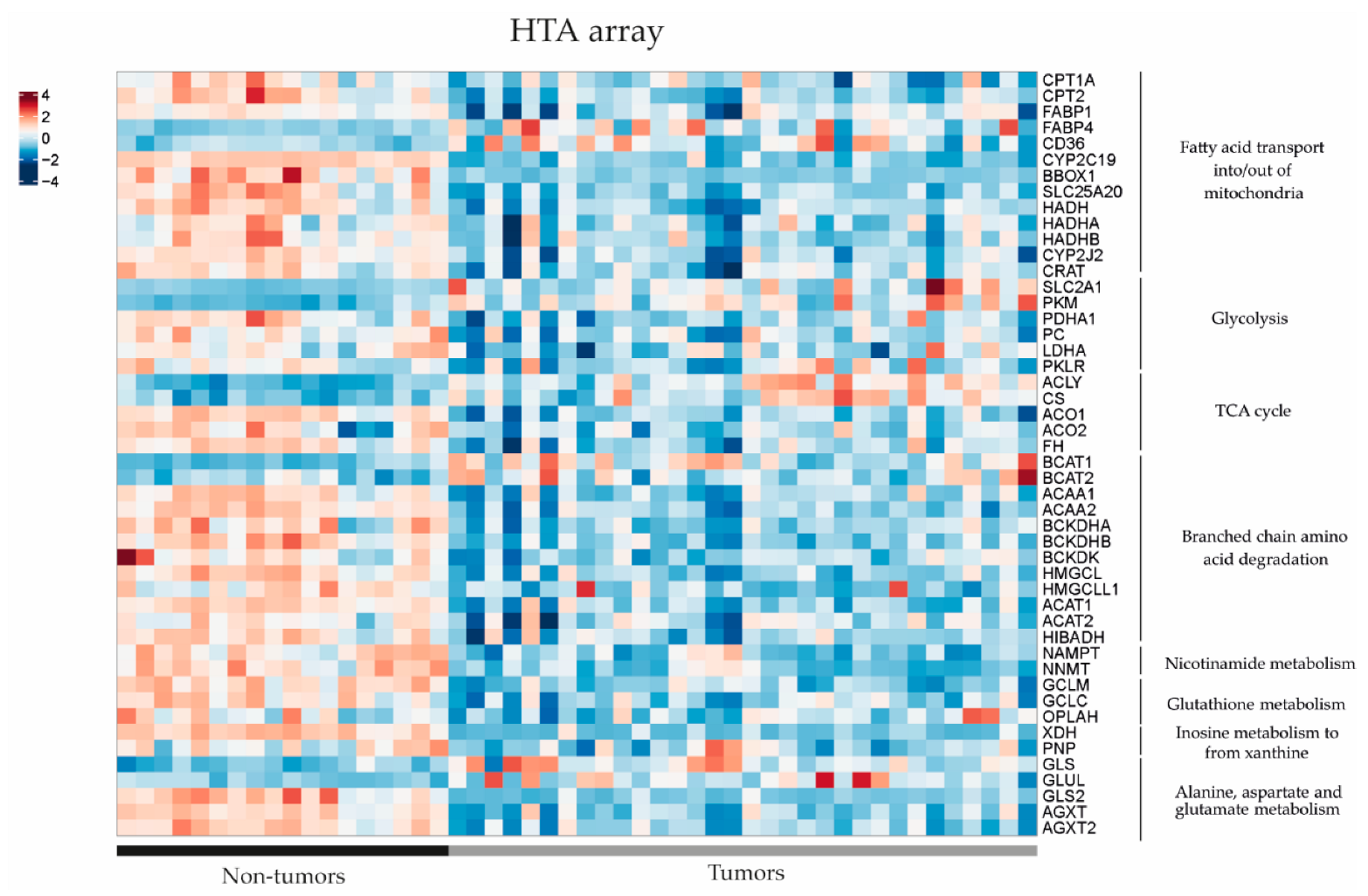 Cancers 15 05182 g004