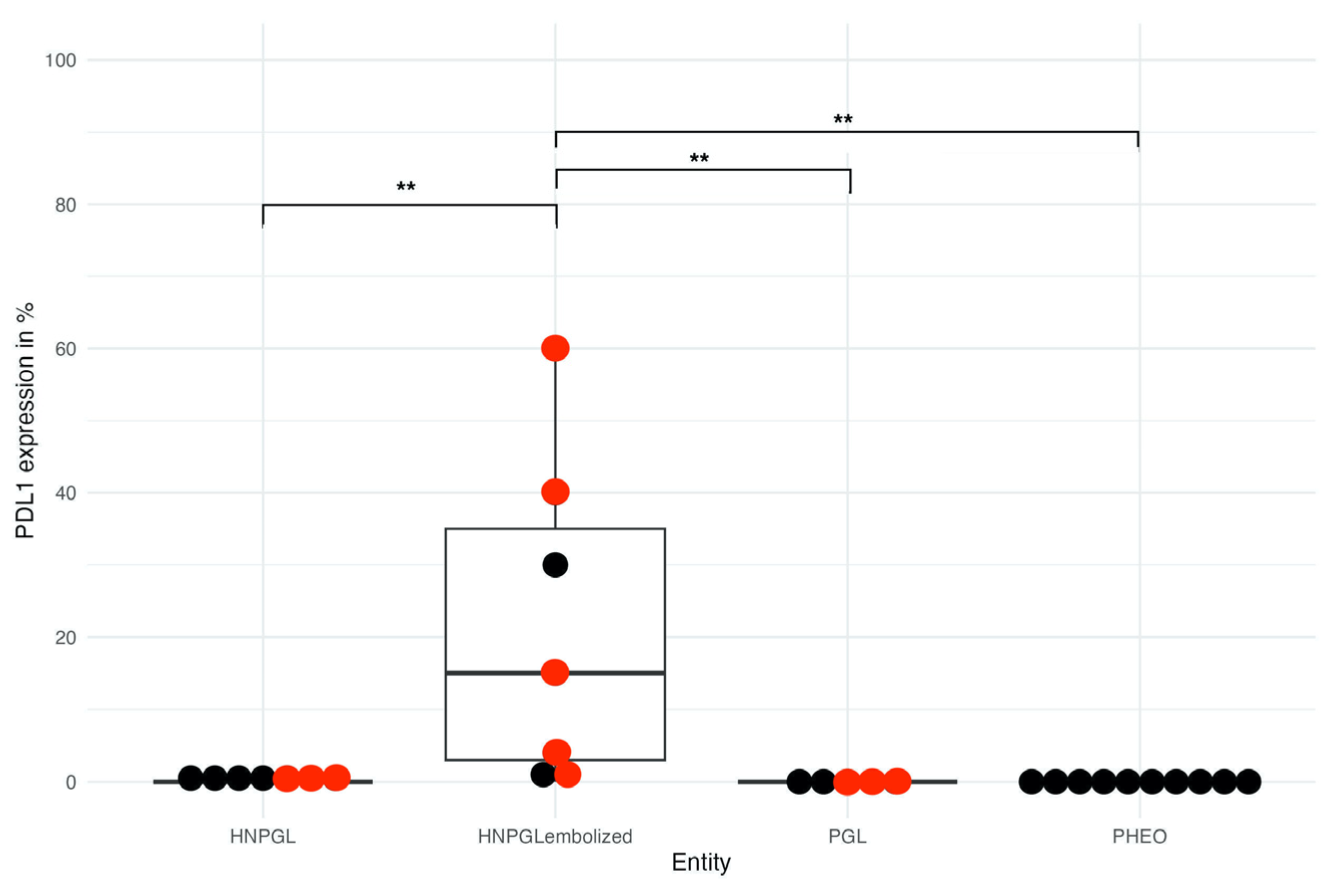 Cancers 15 05199 g002