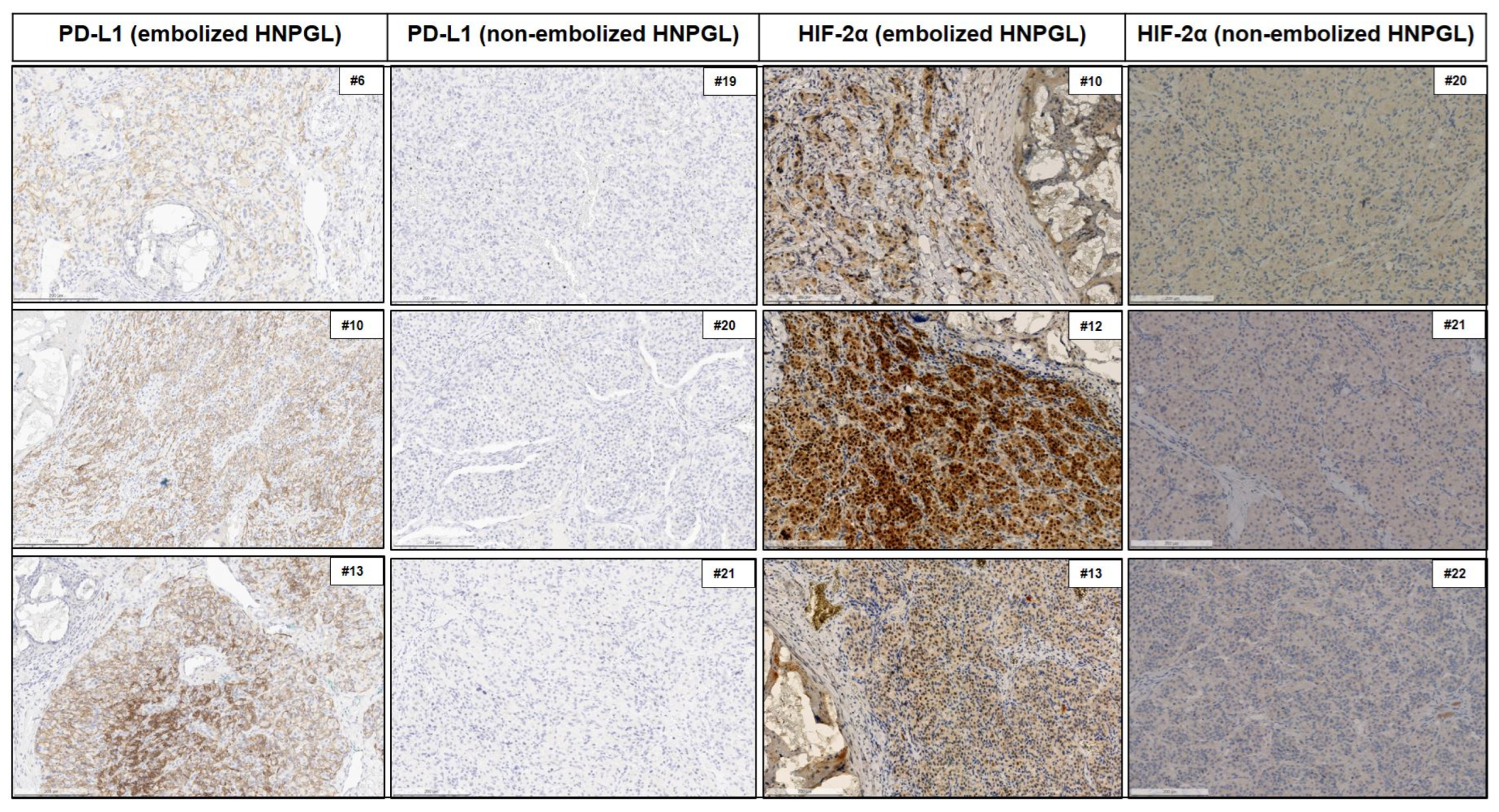 Cancers 15 05199 g005