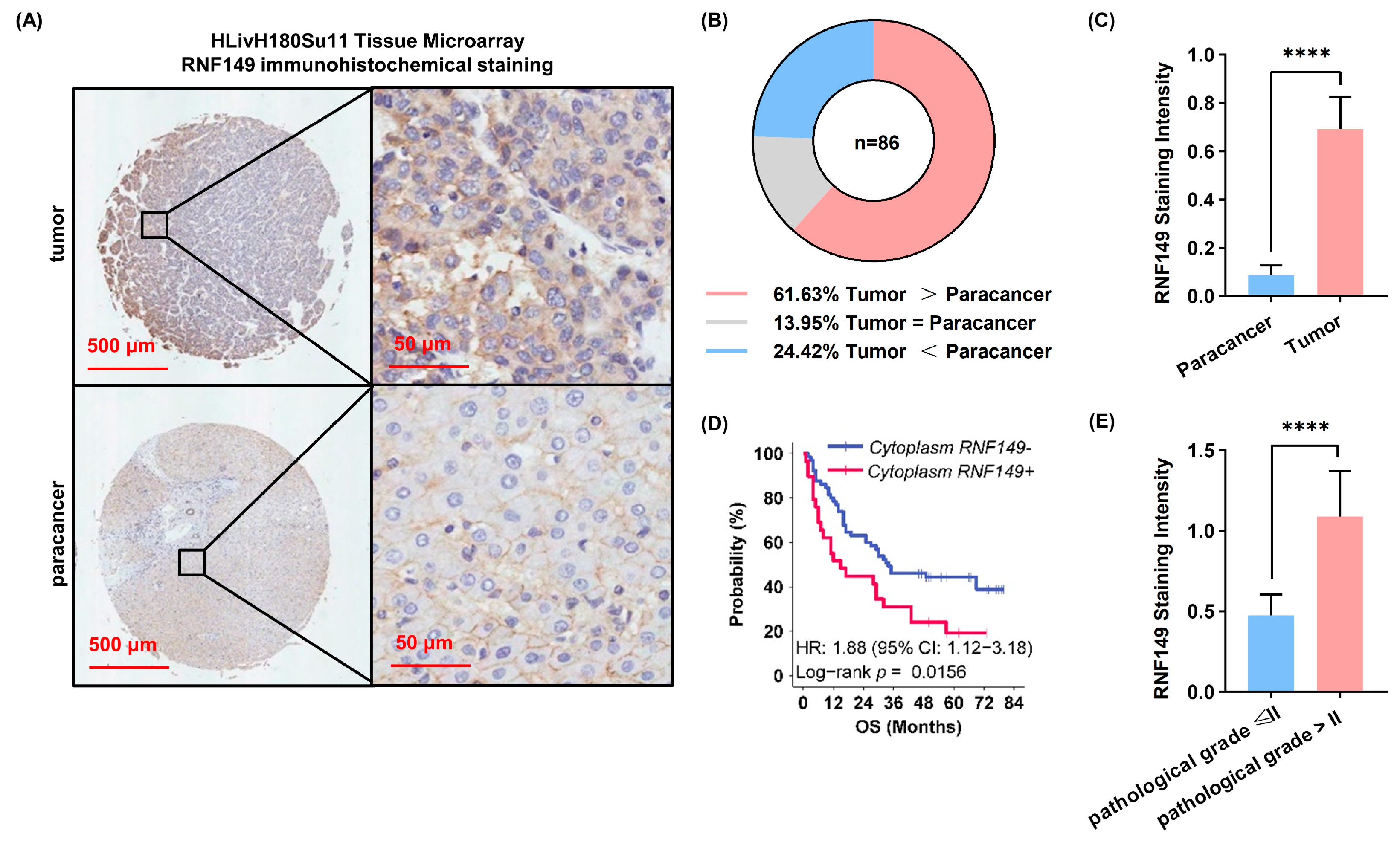 Cancers 15 05203 g002