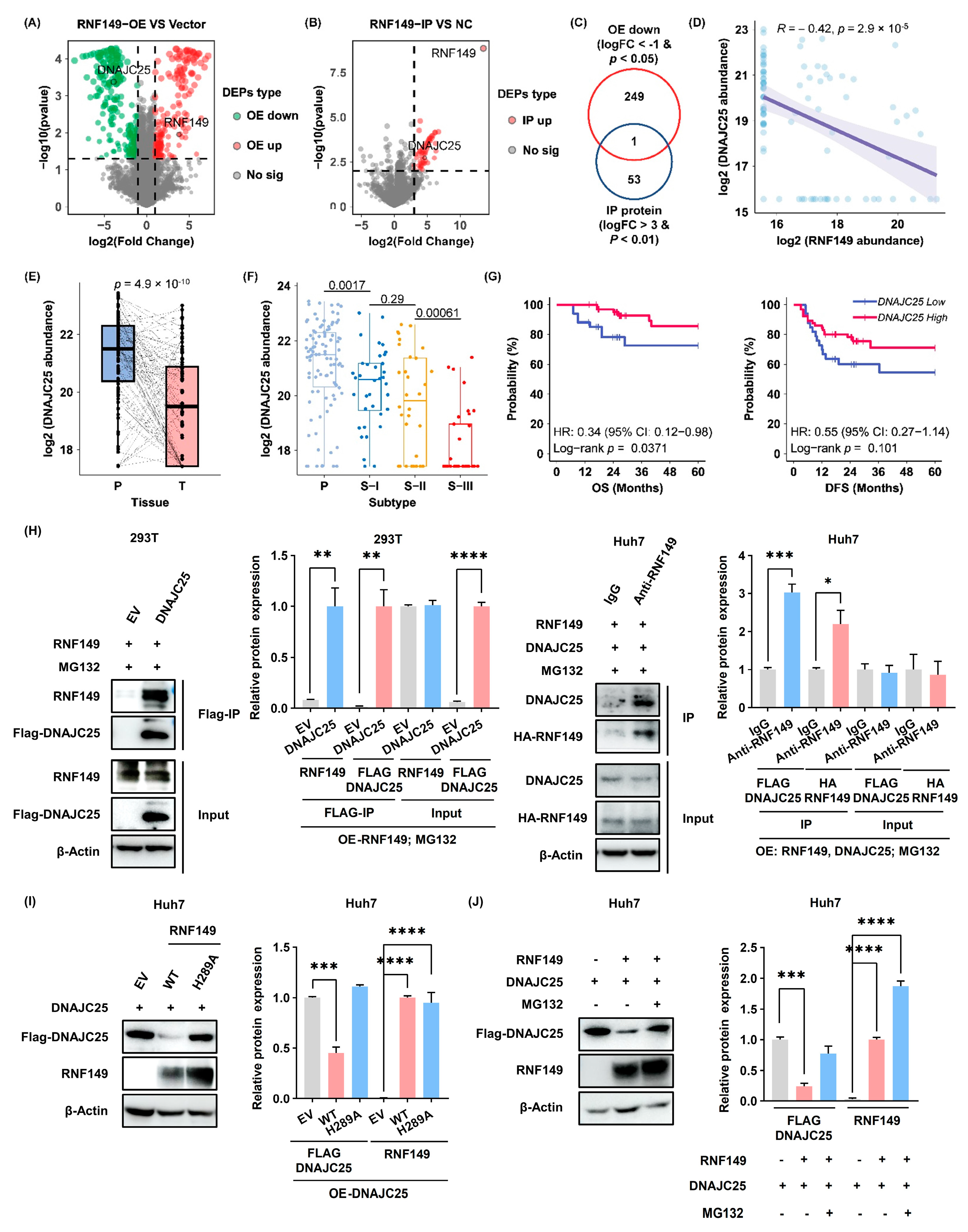 Cancers 15 05203 g007