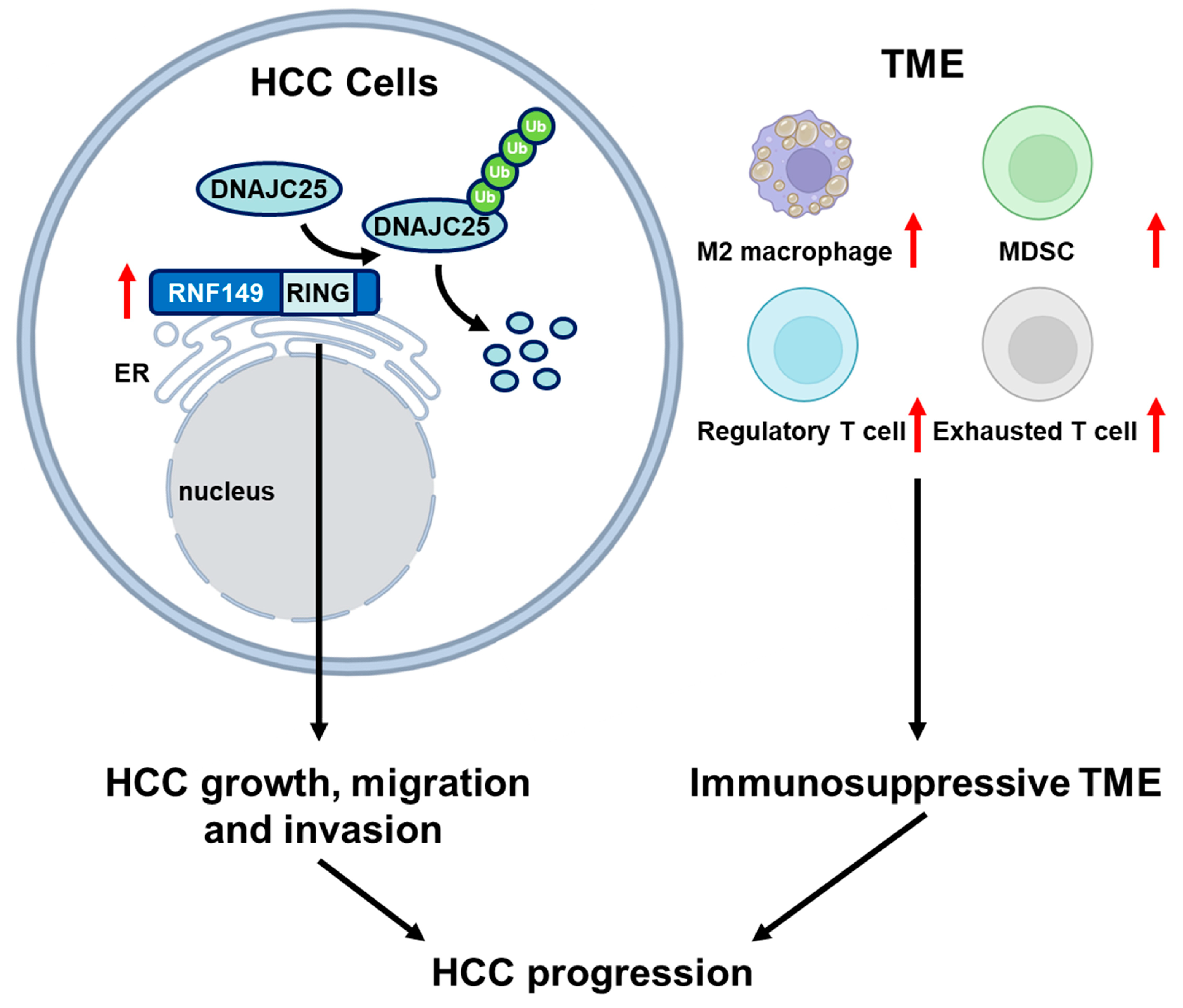 Cancers 15 05203 g009