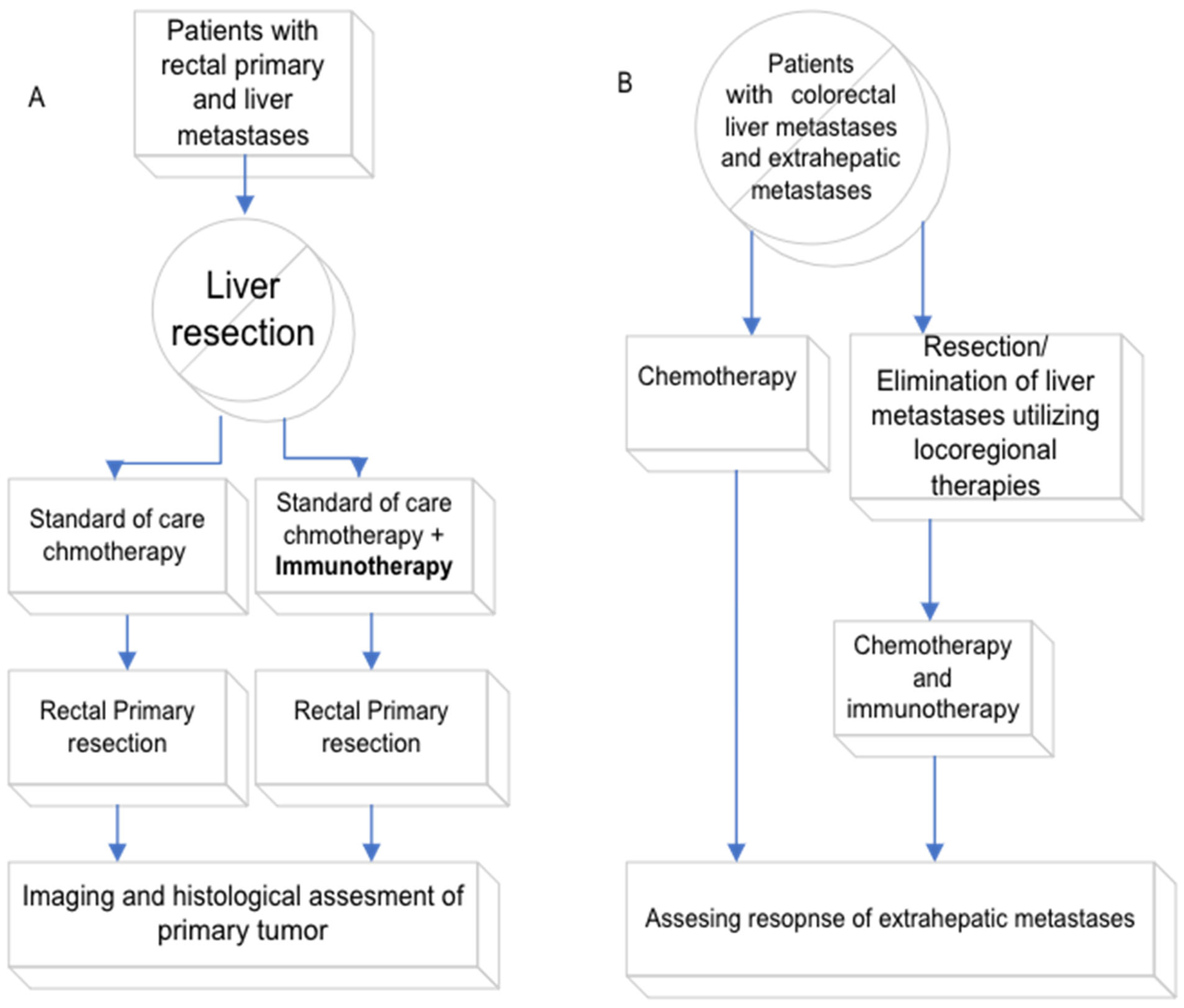 Cancers 15 05210 g001