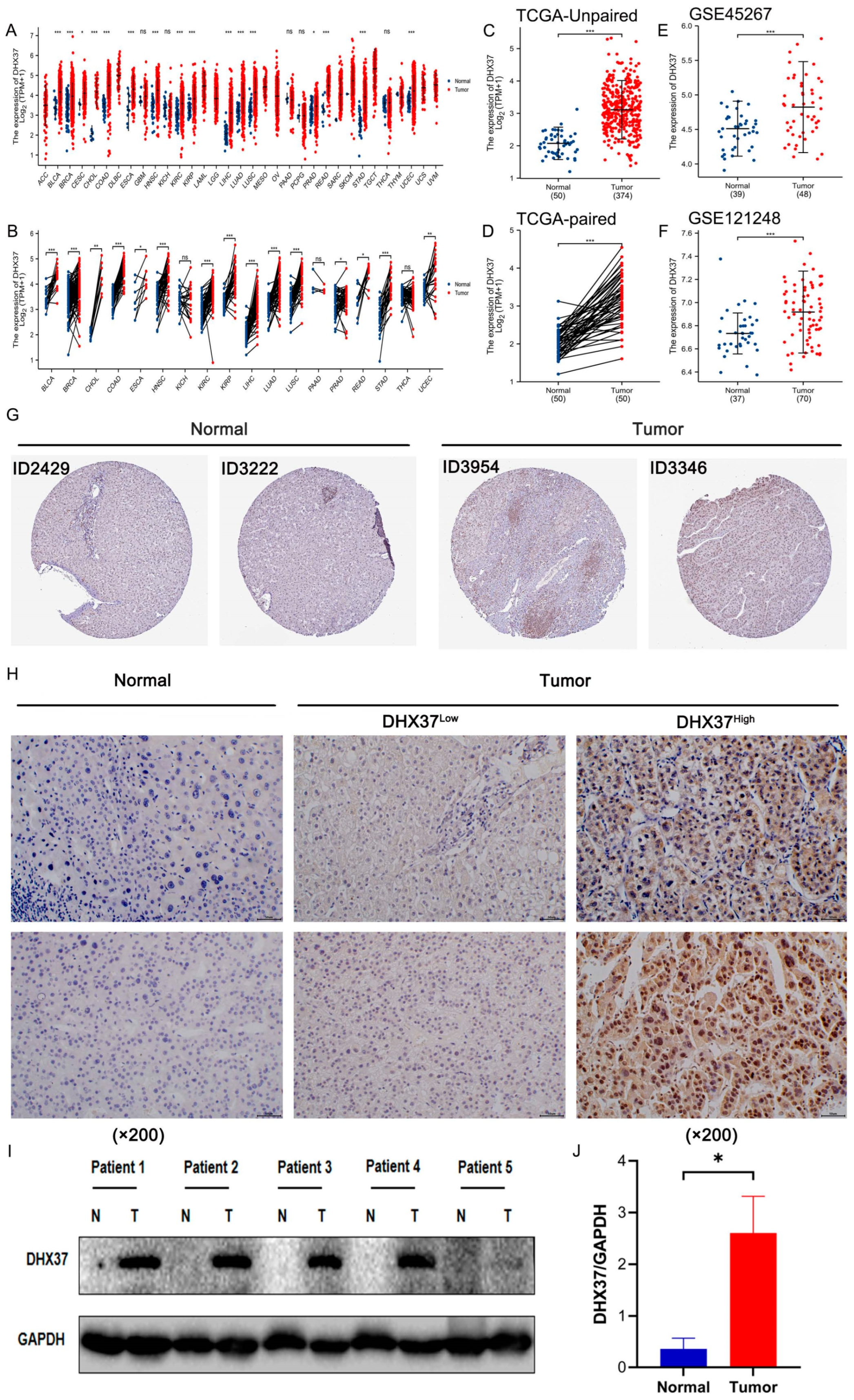 Cancers 15 05228 g001