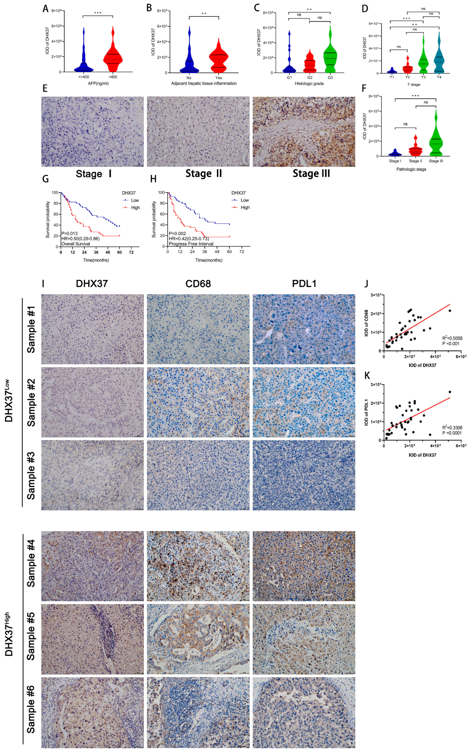 Cancers 15 05228 g003