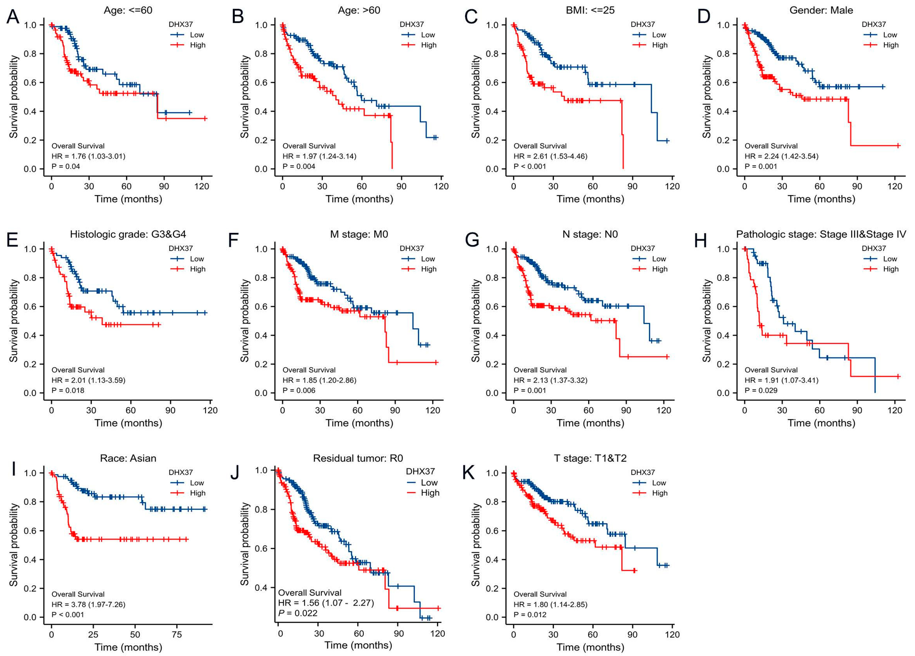 Cancers 15 05228 g004