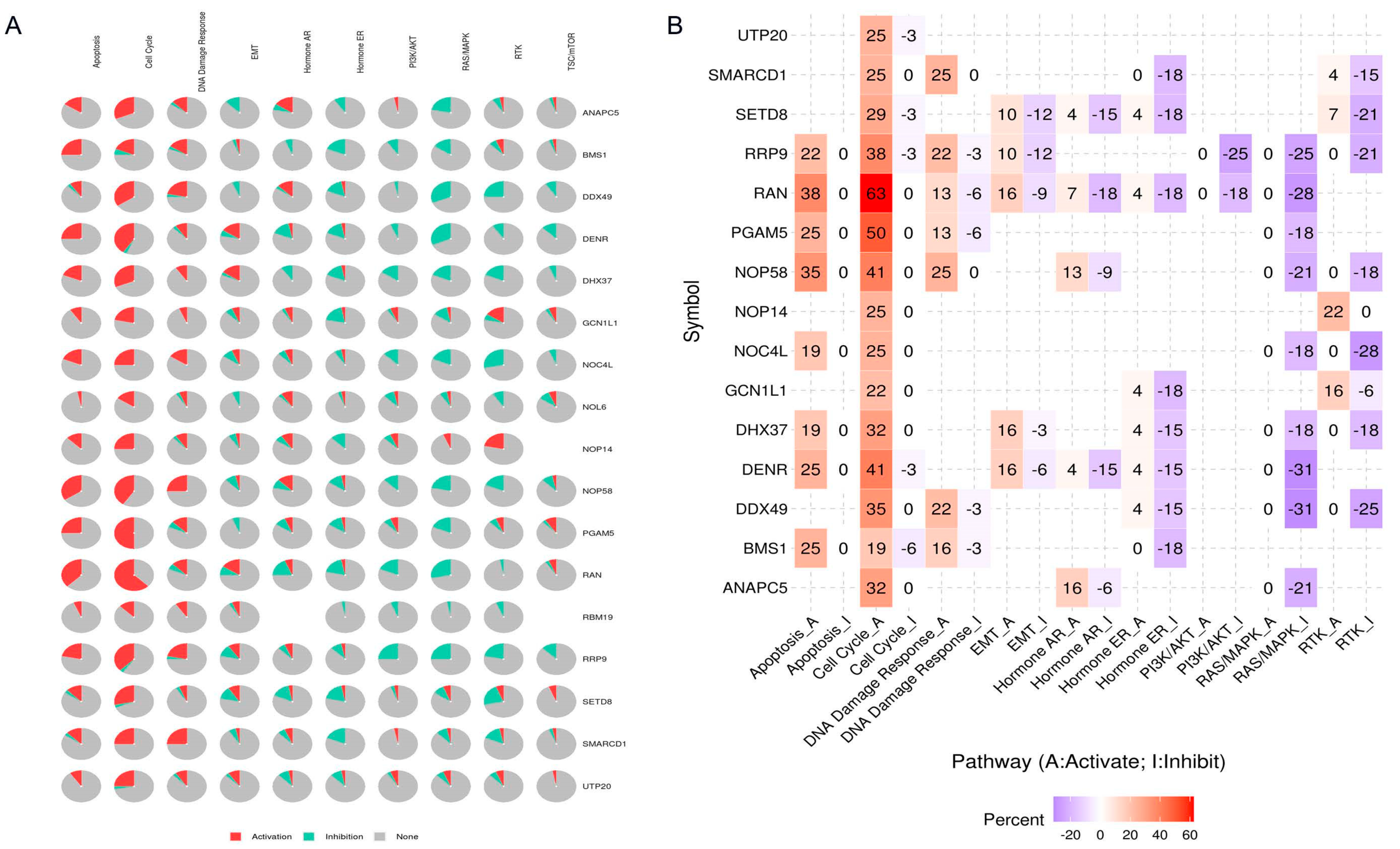 Cancers 15 05228 g008