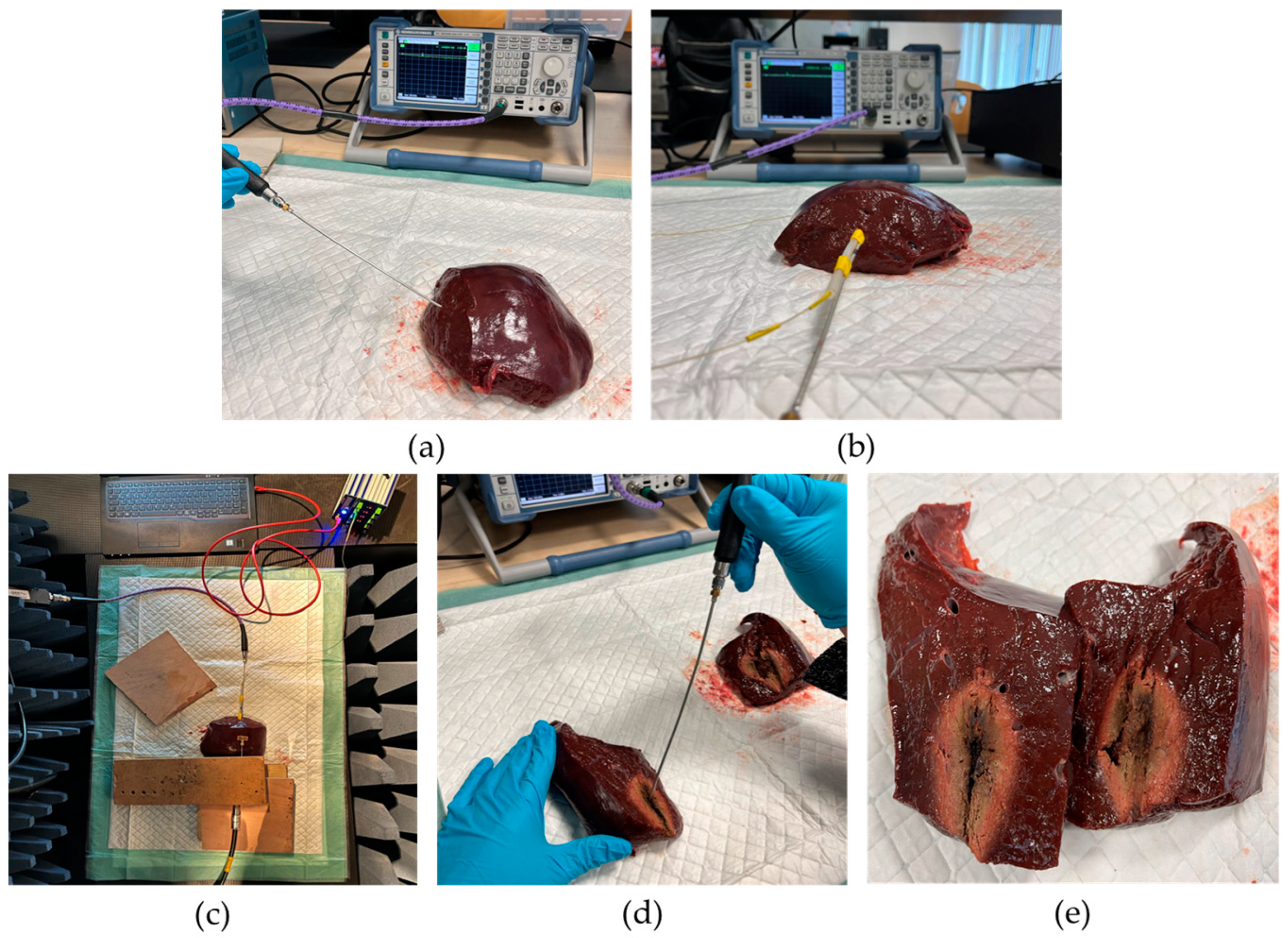 Cancers 15 05230 g004