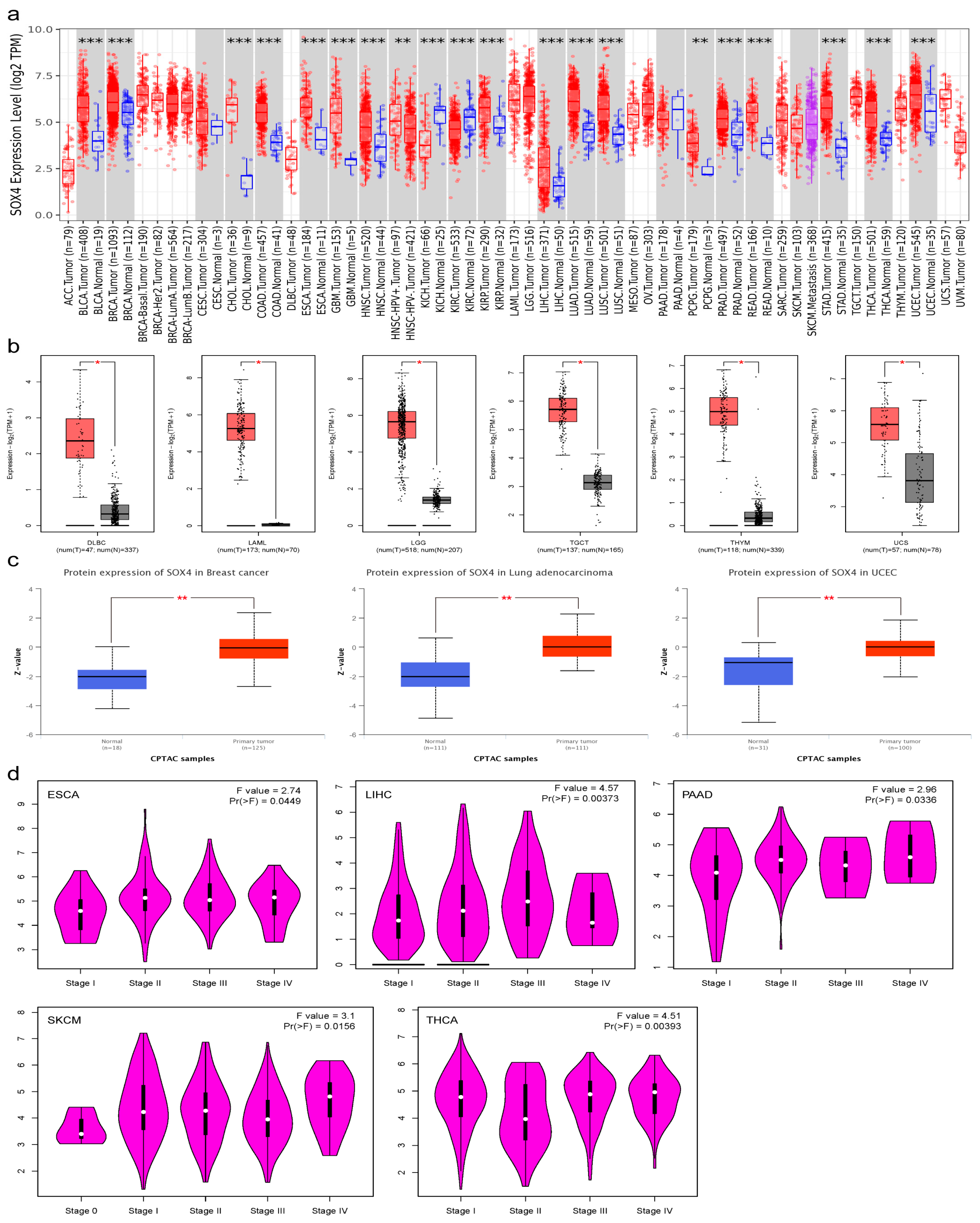 Cancers 15 05235 g001