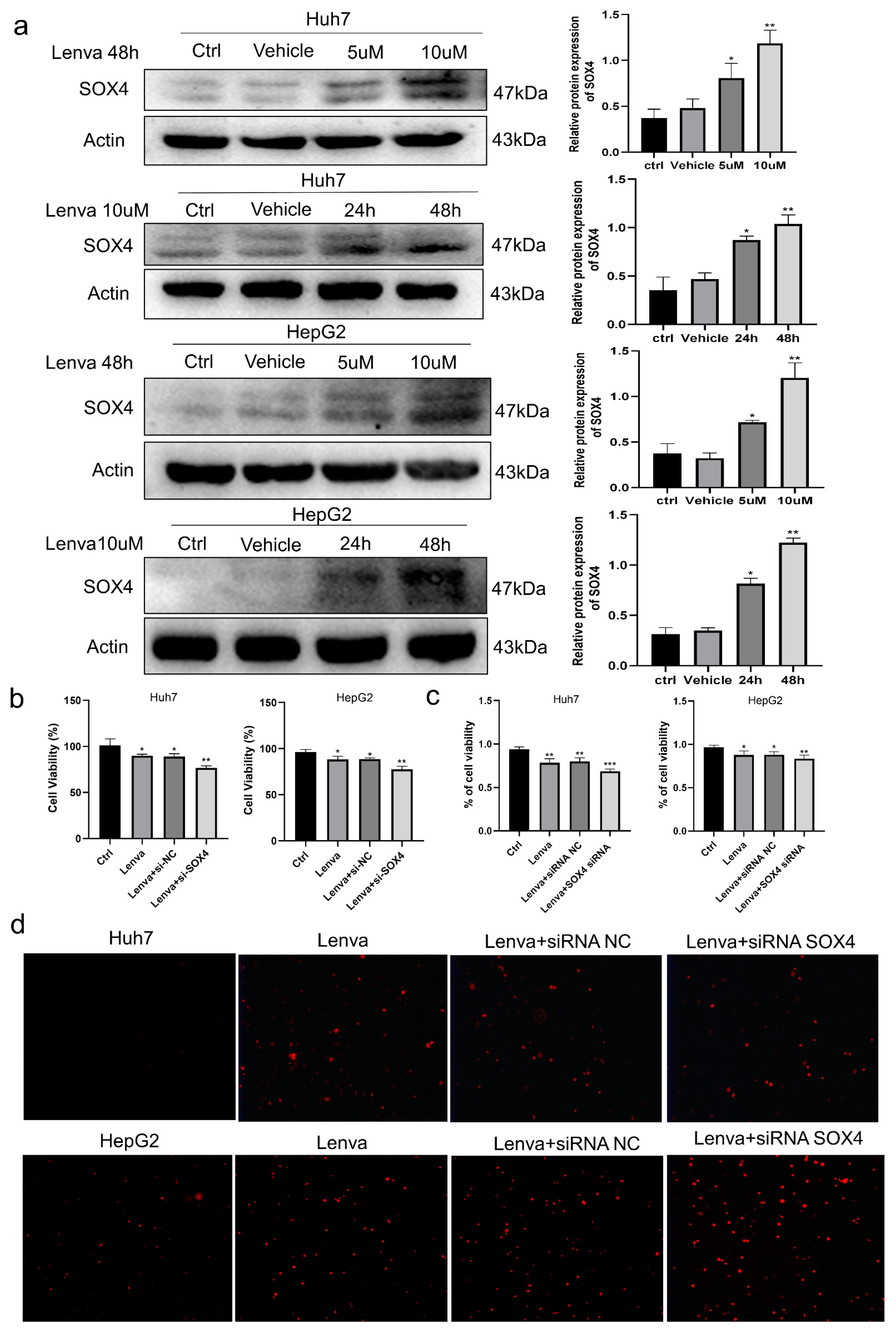 Cancers 15 05235 g007