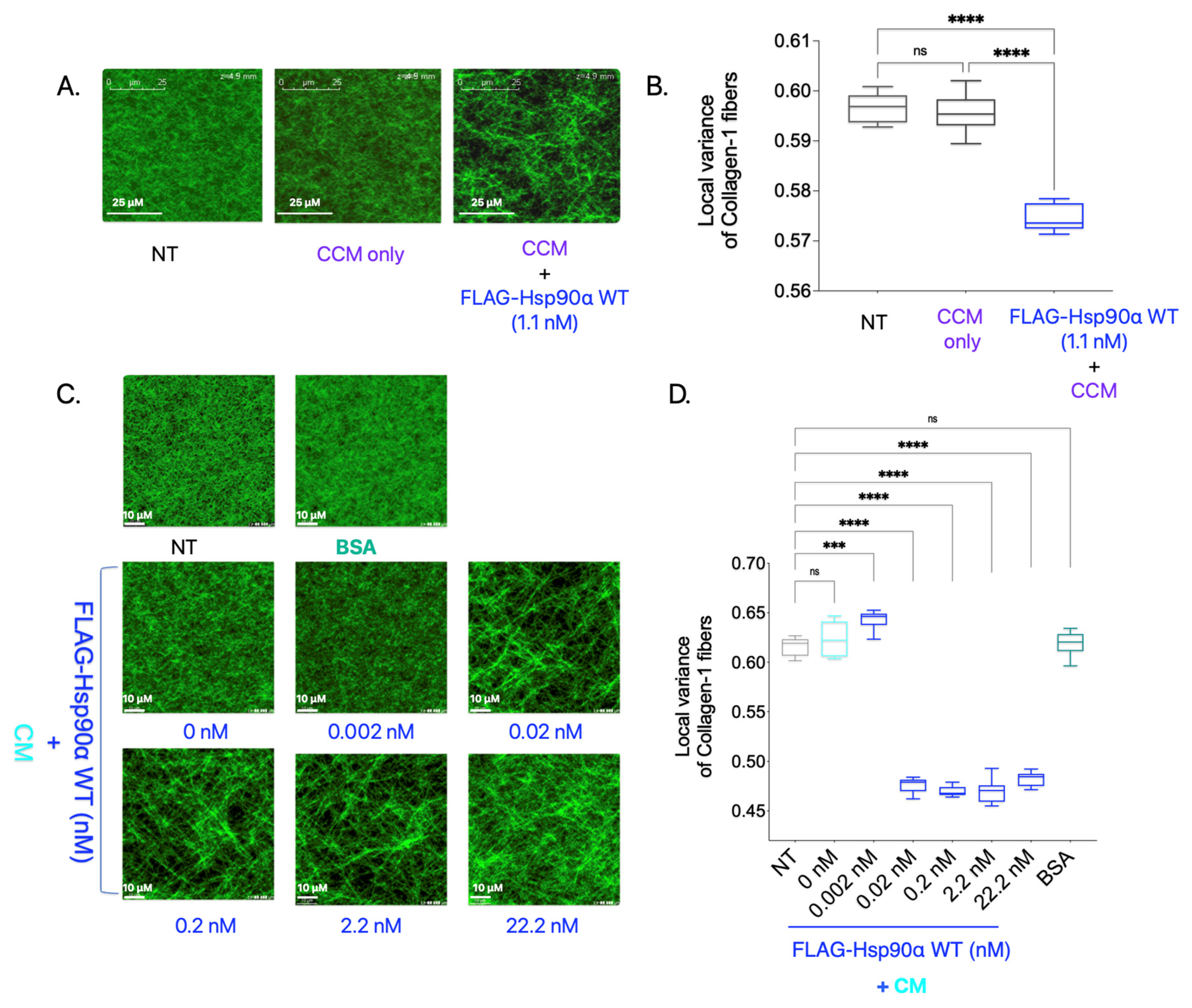 Cancers 15 05237 g002