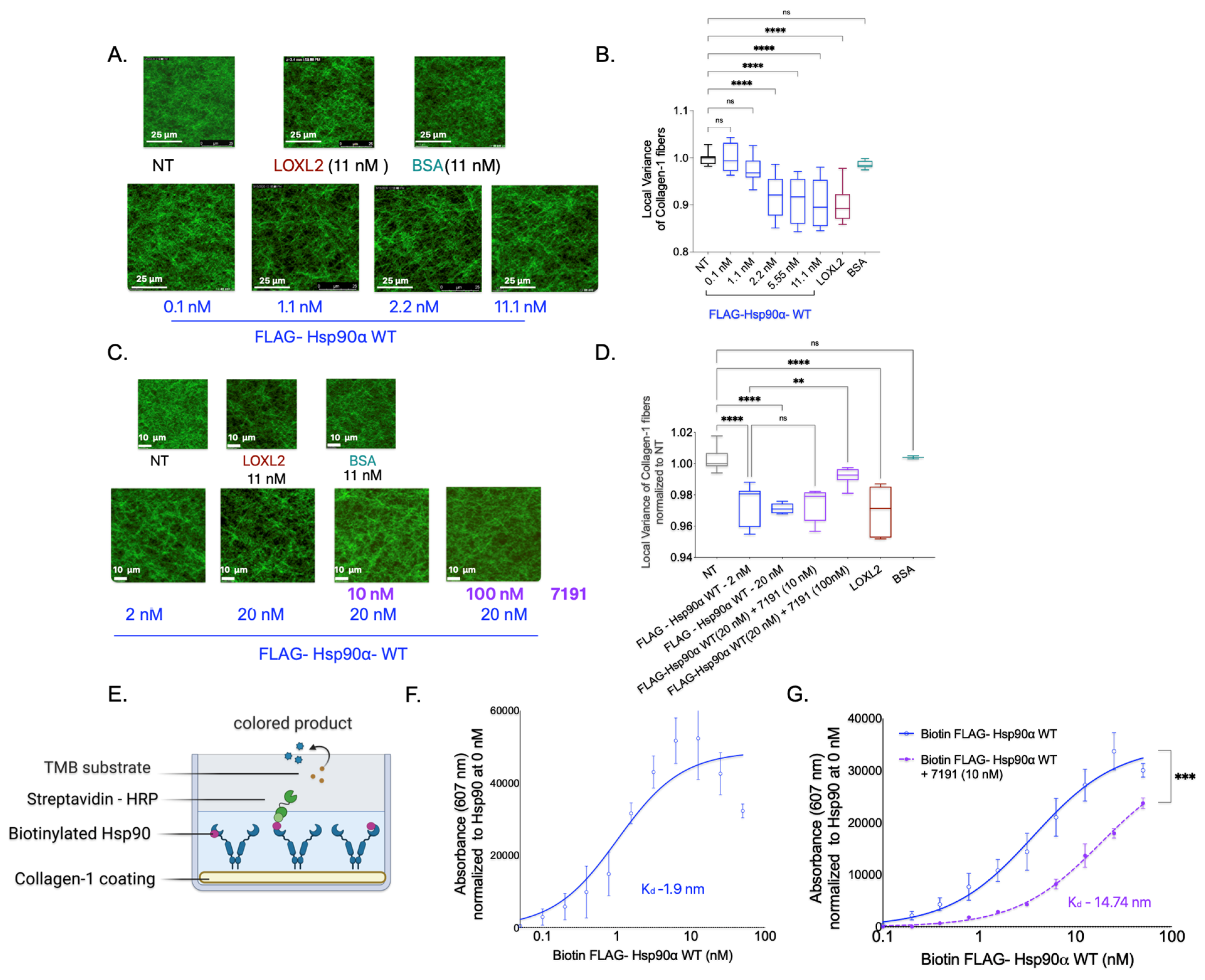 Cancers 15 05237 g003