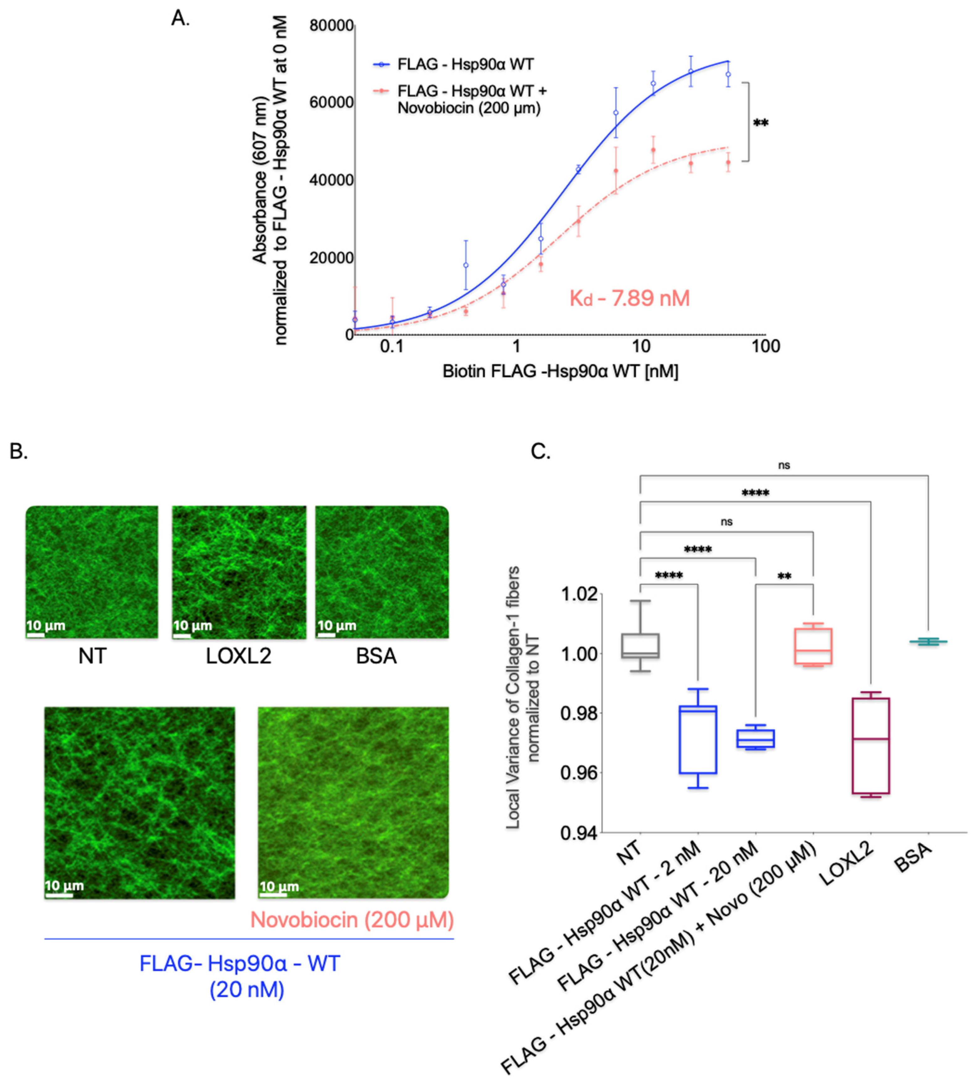 Cancers 15 05237 g007