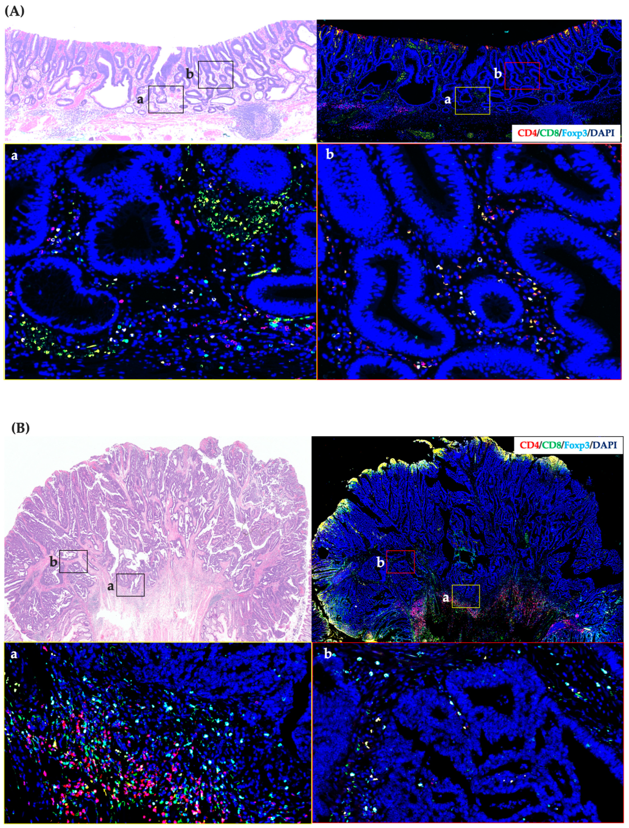 Cancers 15 05238 g002a