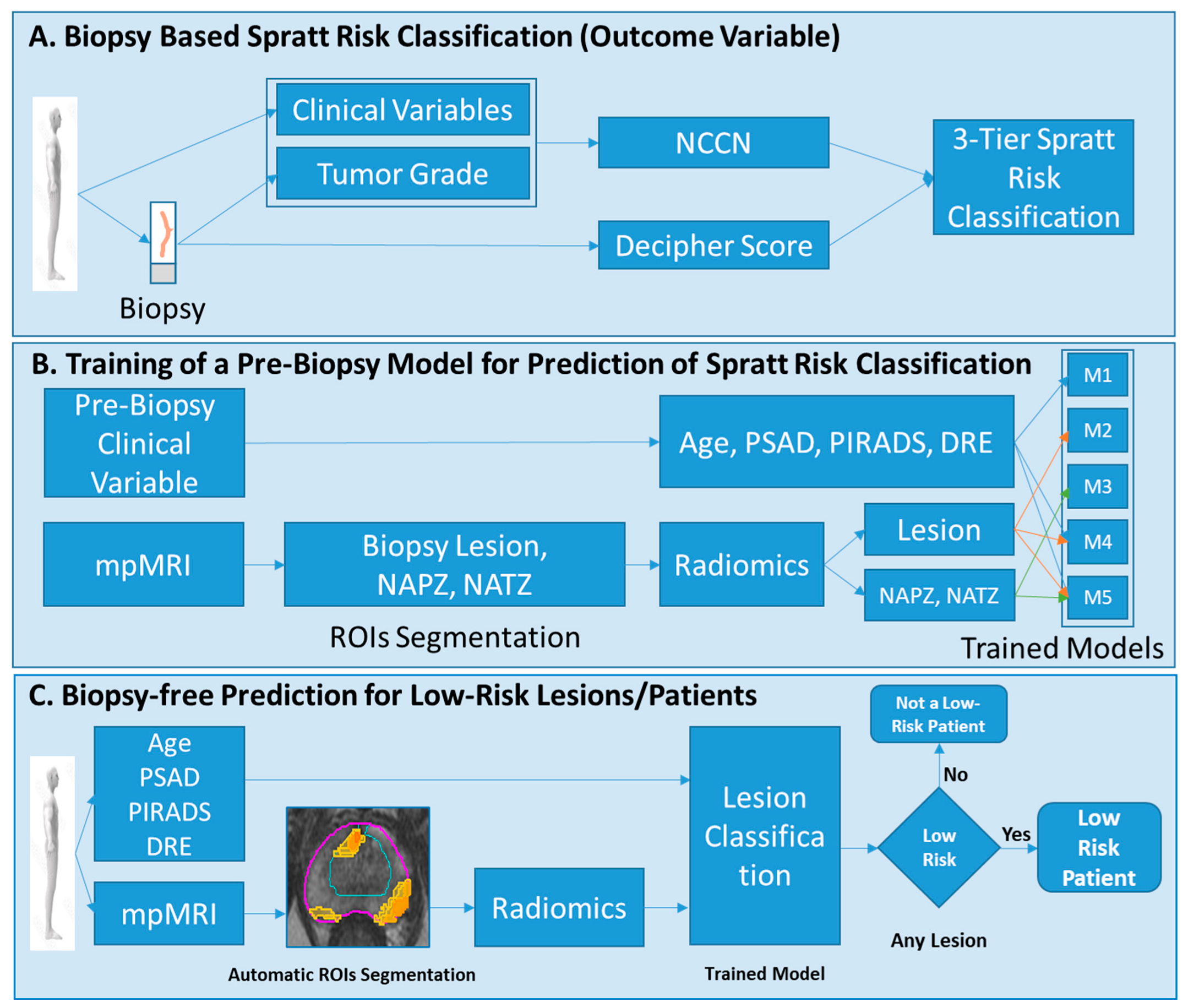 Cancers 15 05240 g002
