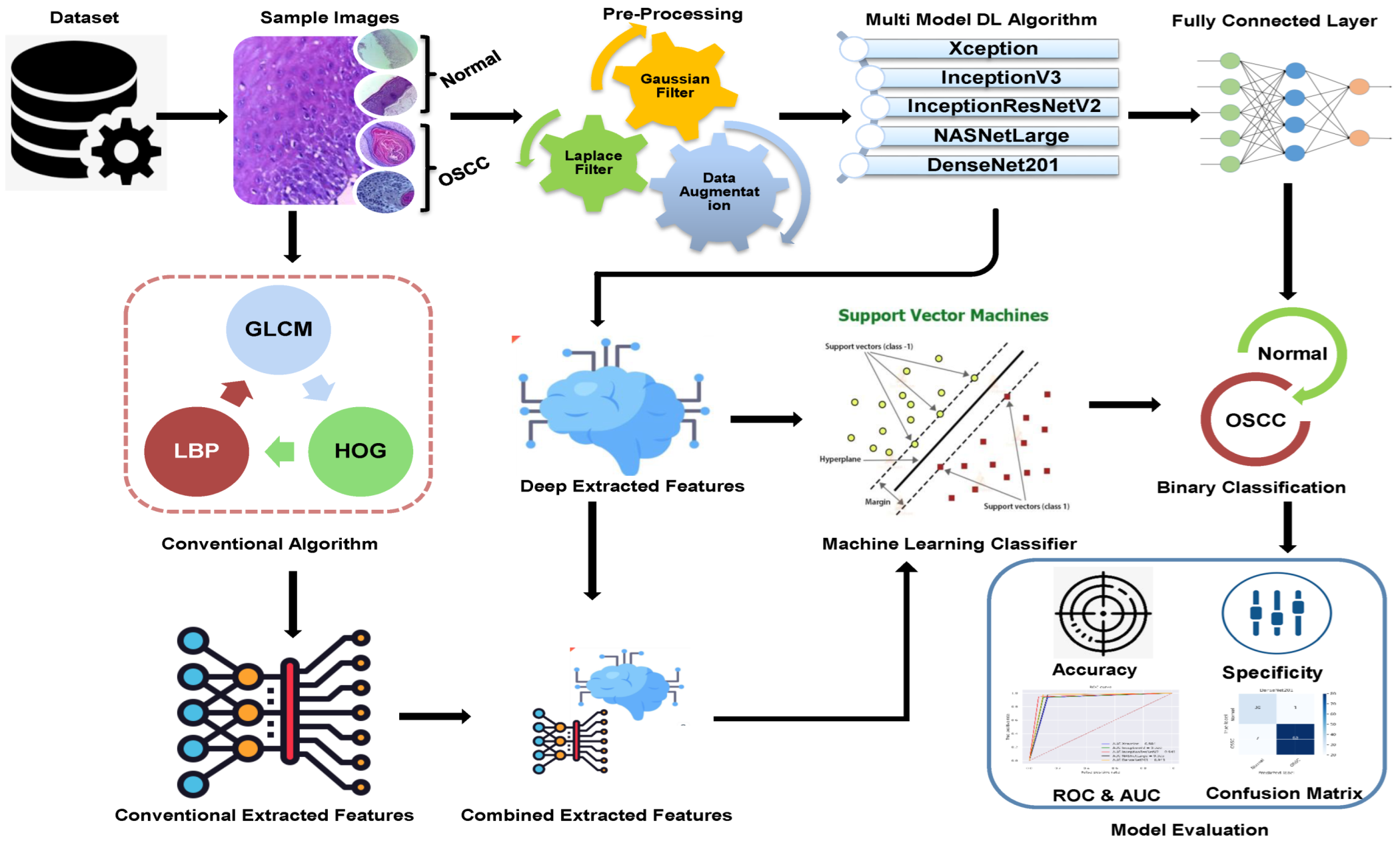 Cancers 15 05247 g001