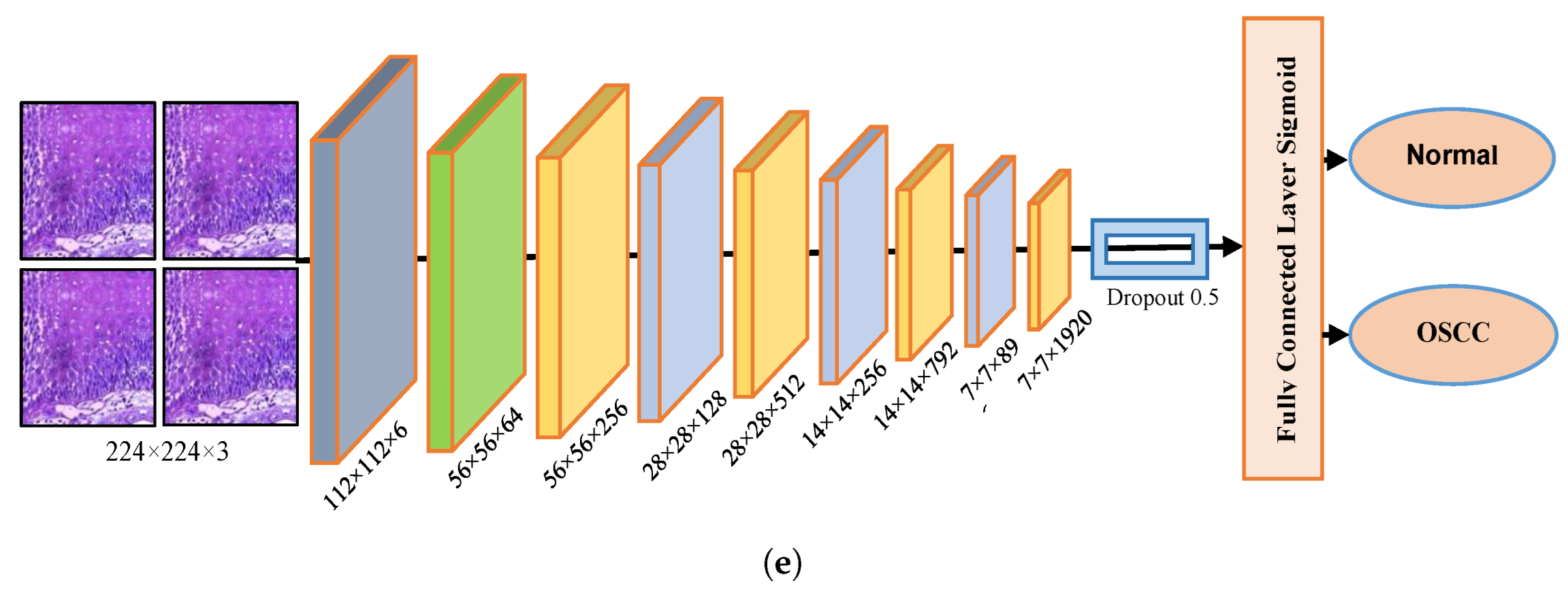 Cancers 15 05247 g003b