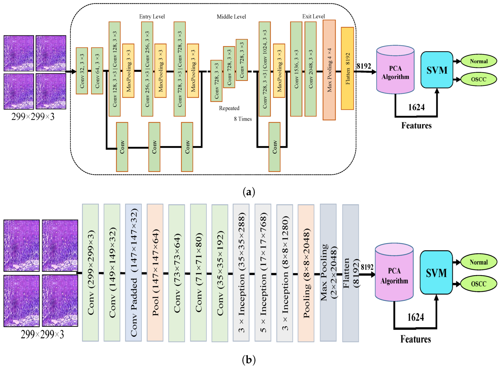 Cancers 15 05247 g004a