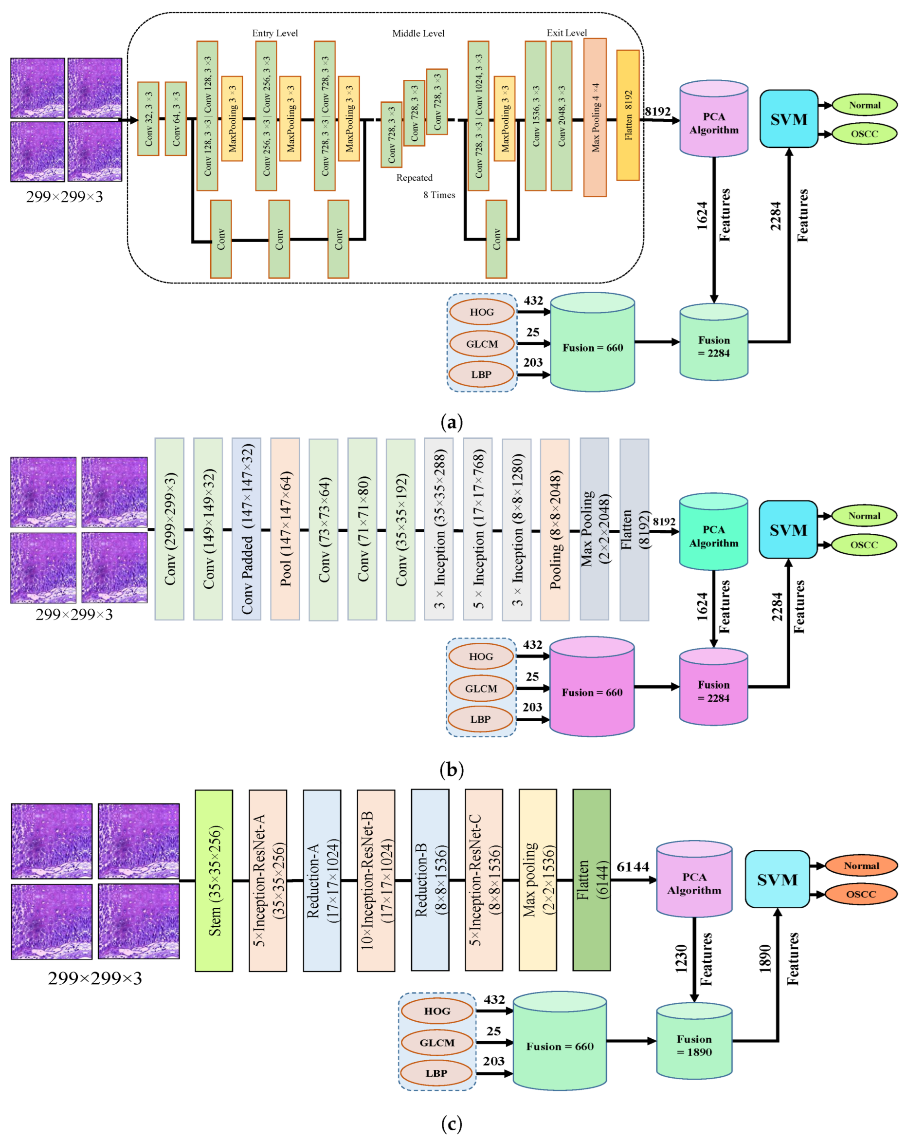 Cancers 15 05247 g005a