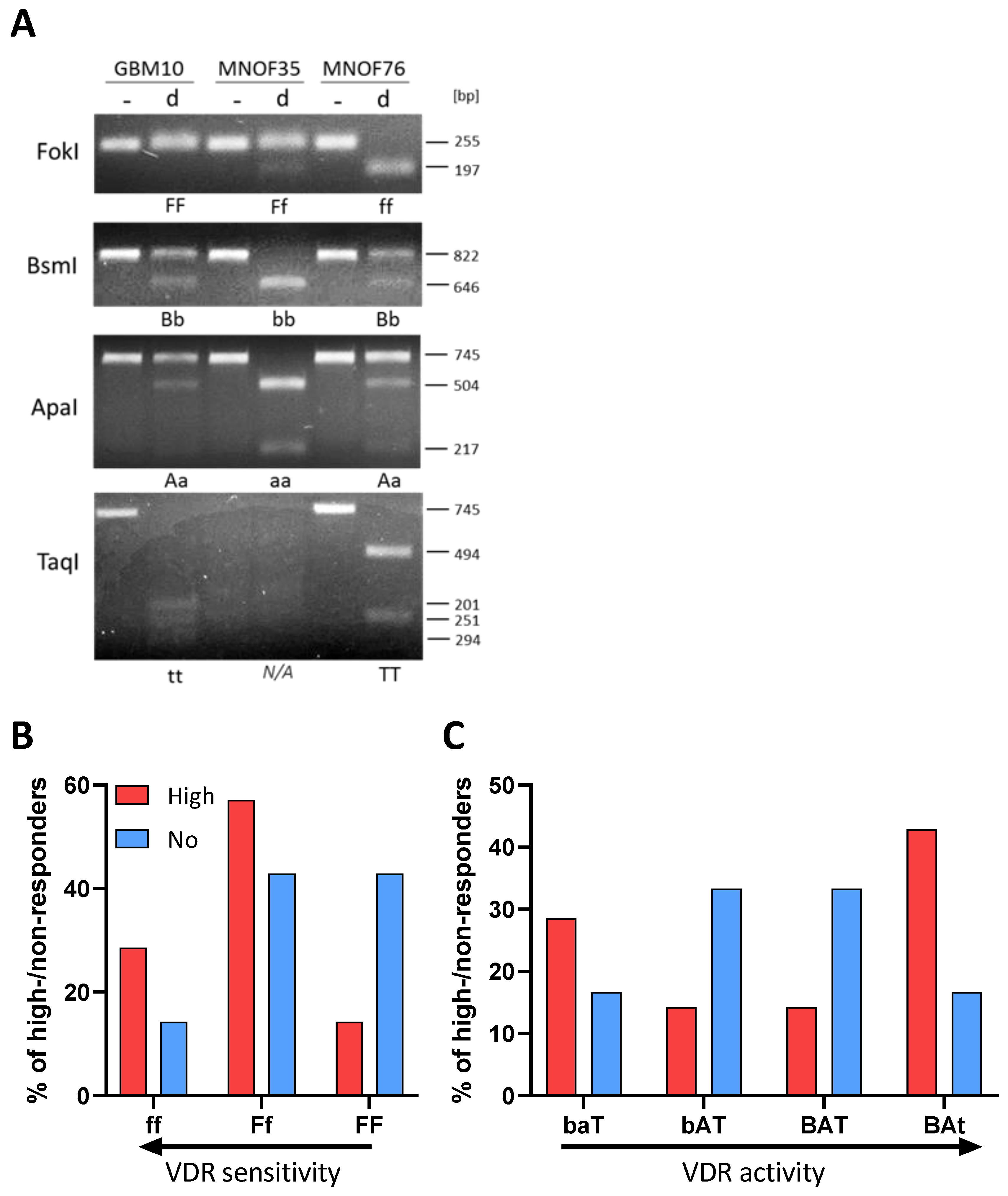 Cancers 15 05249 g002