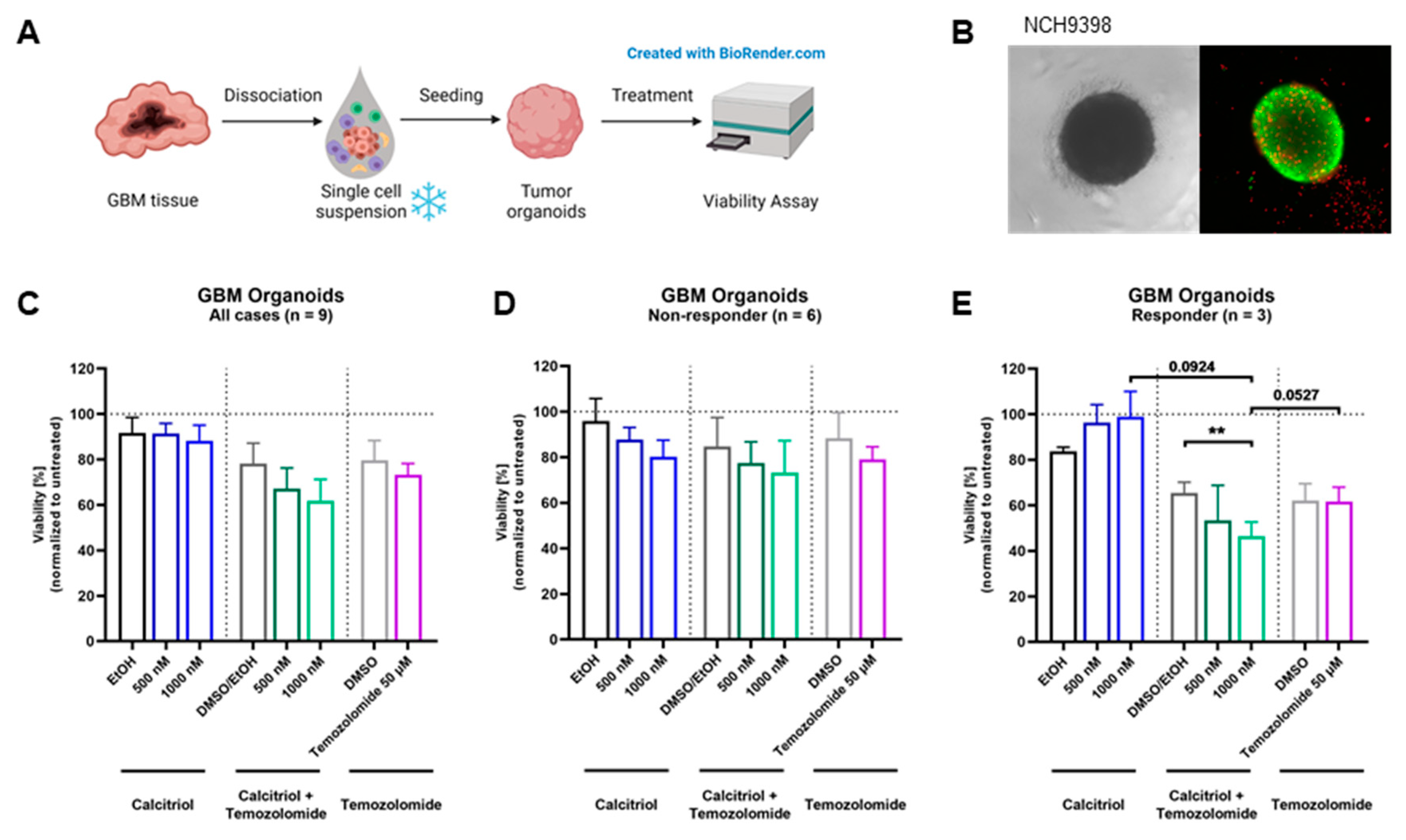 Cancers 15 05249 g005
