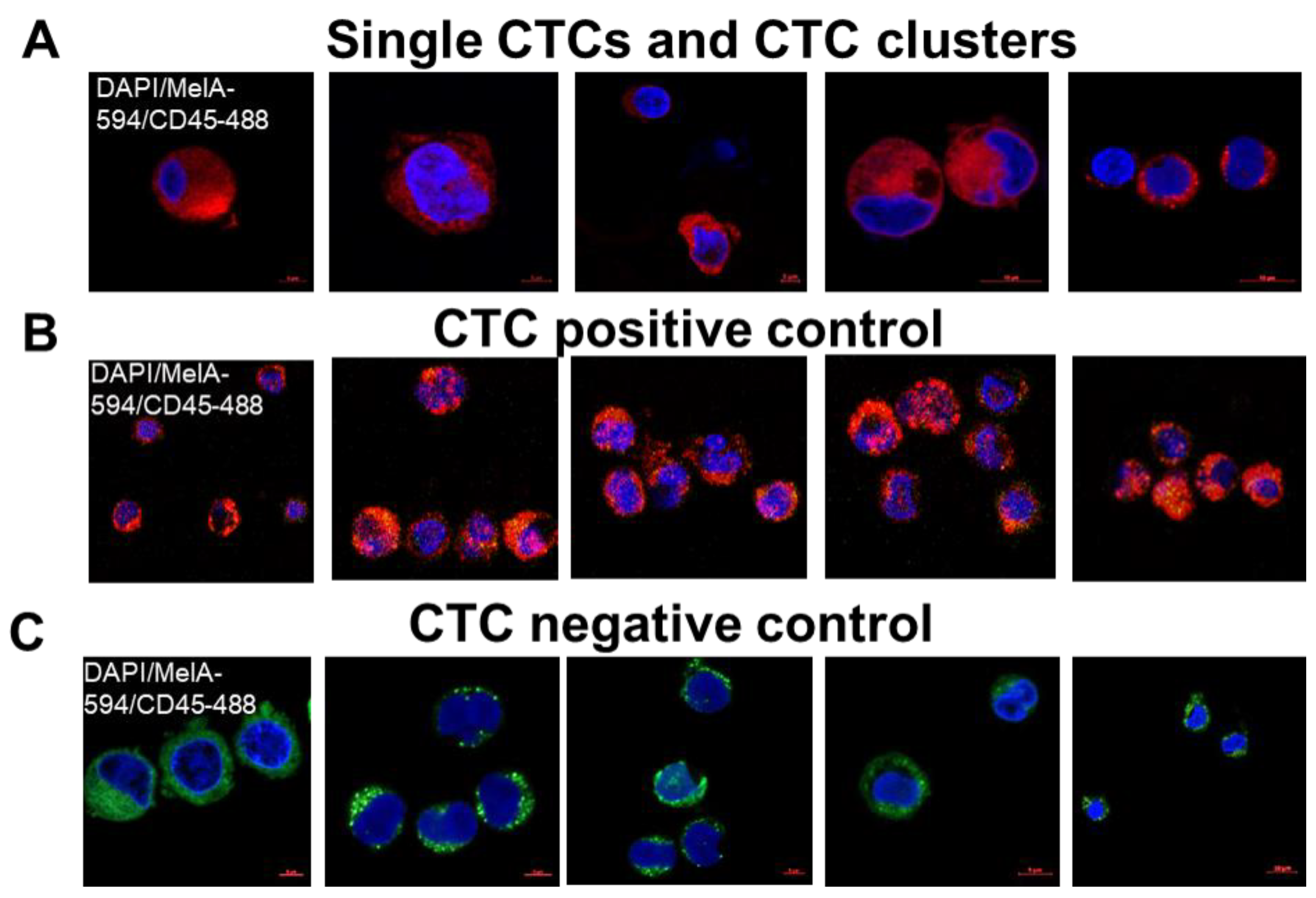 Cancers 15 05263 g003