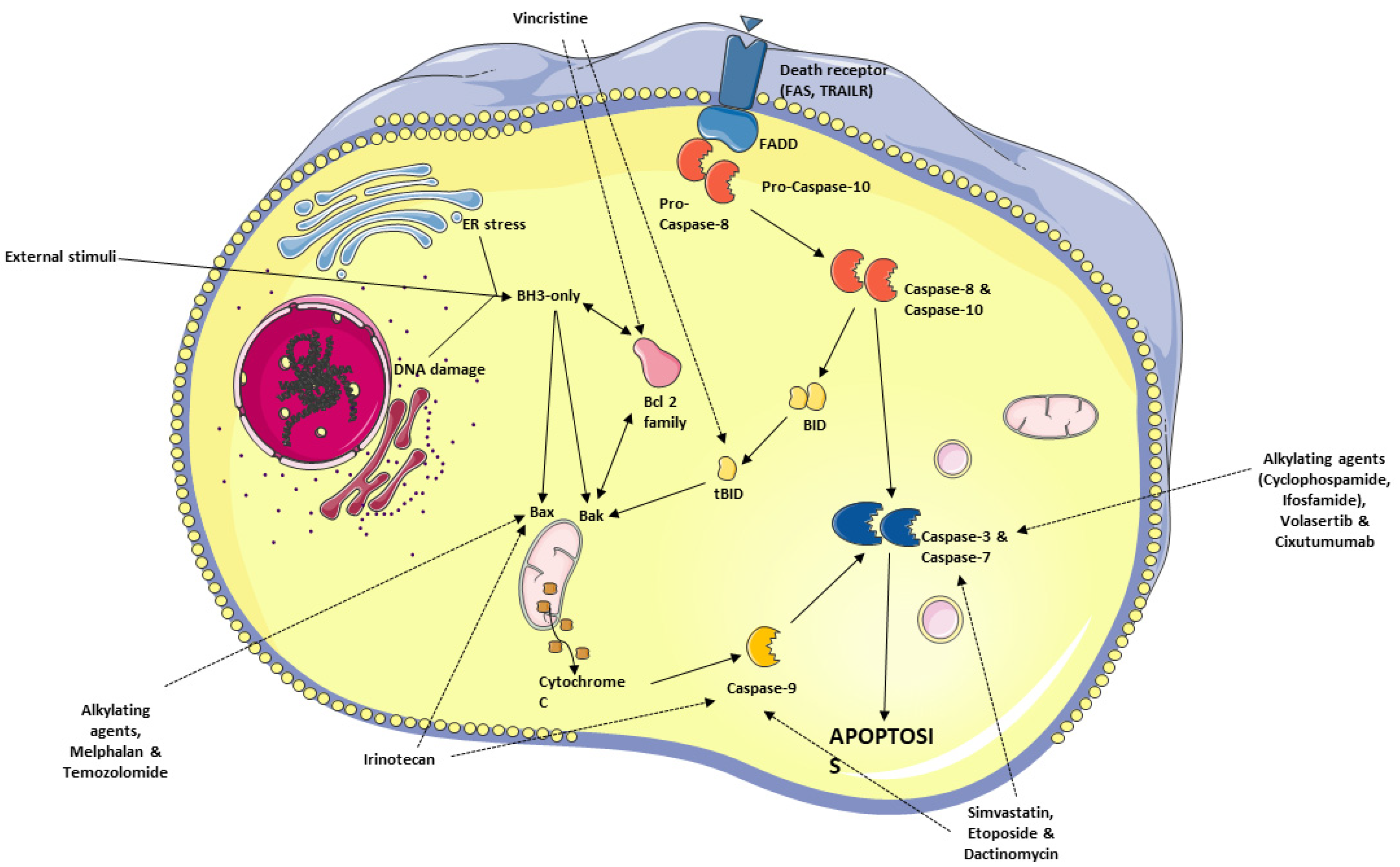 Cancers 15 05269 g002 Cancers 15 05269 g002