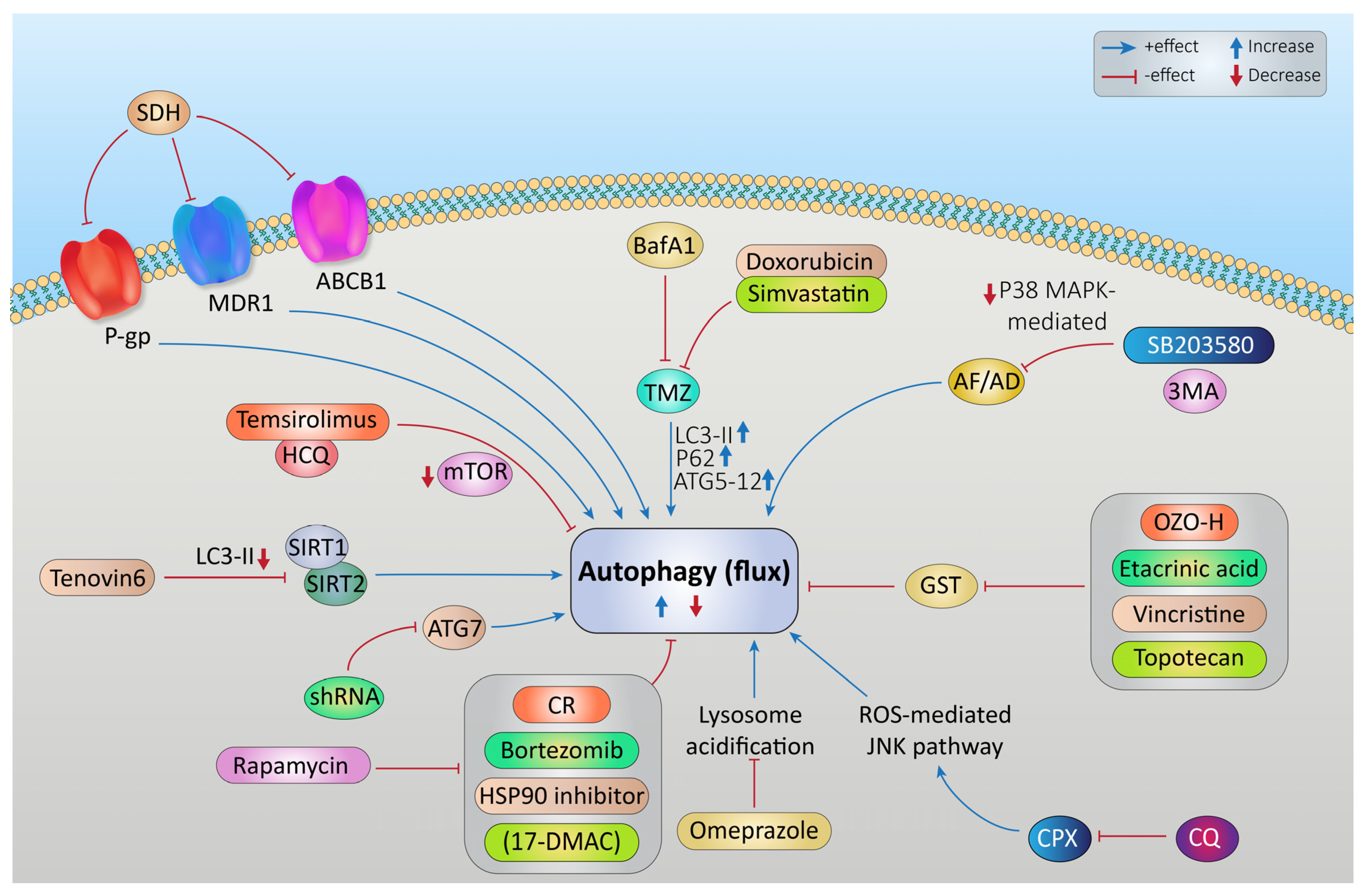 Cancers 15 05269 g004 Cancers 15 05269 g004