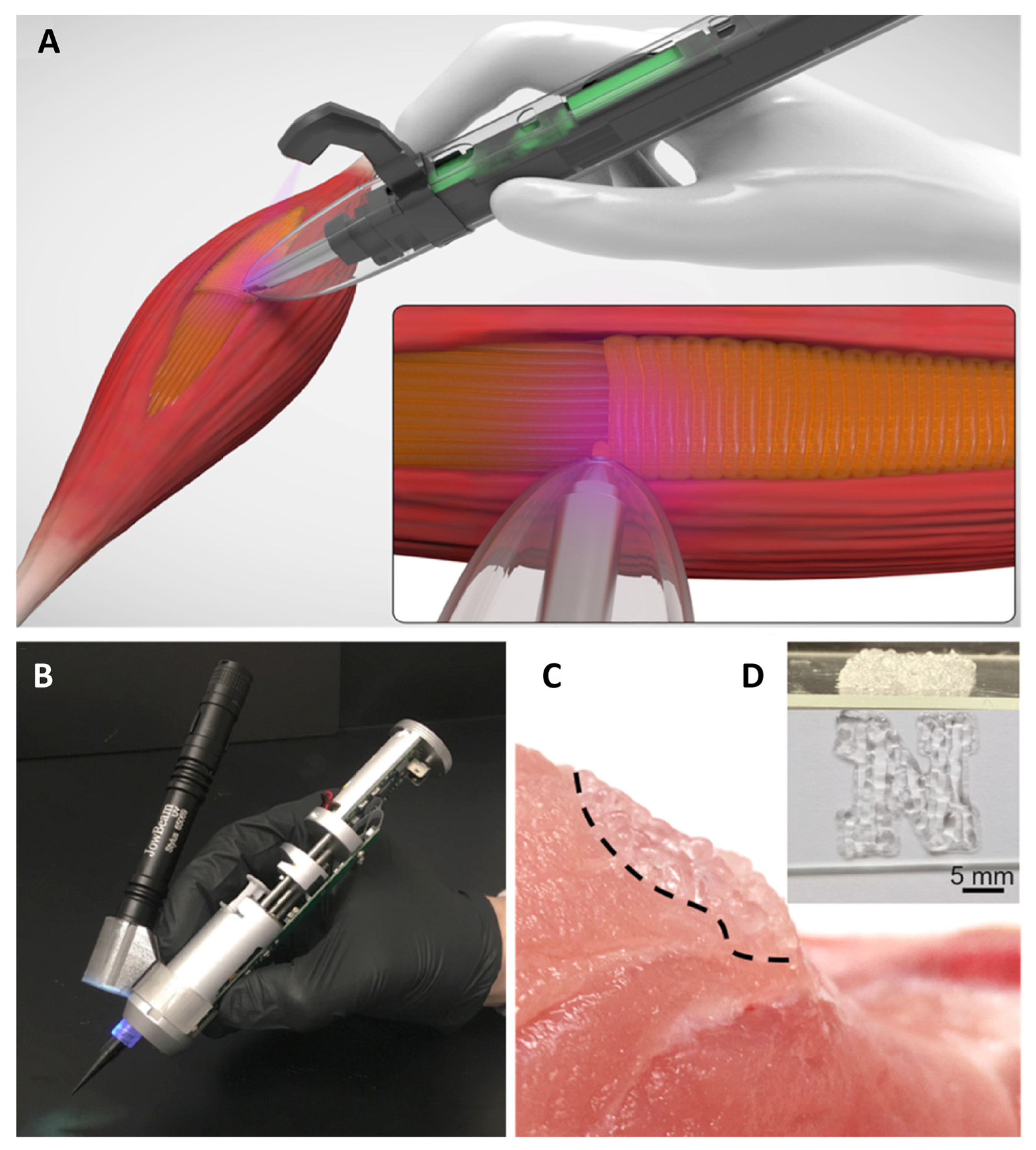 Cancers 15 05269 g015 Cancers 15 05269 g015