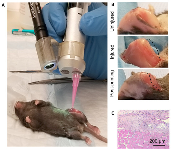 https://www.mdpi.com/cancers/cancers-15-05269/article_deploy/html/images/cancers-15-05269-g016-550.jpg