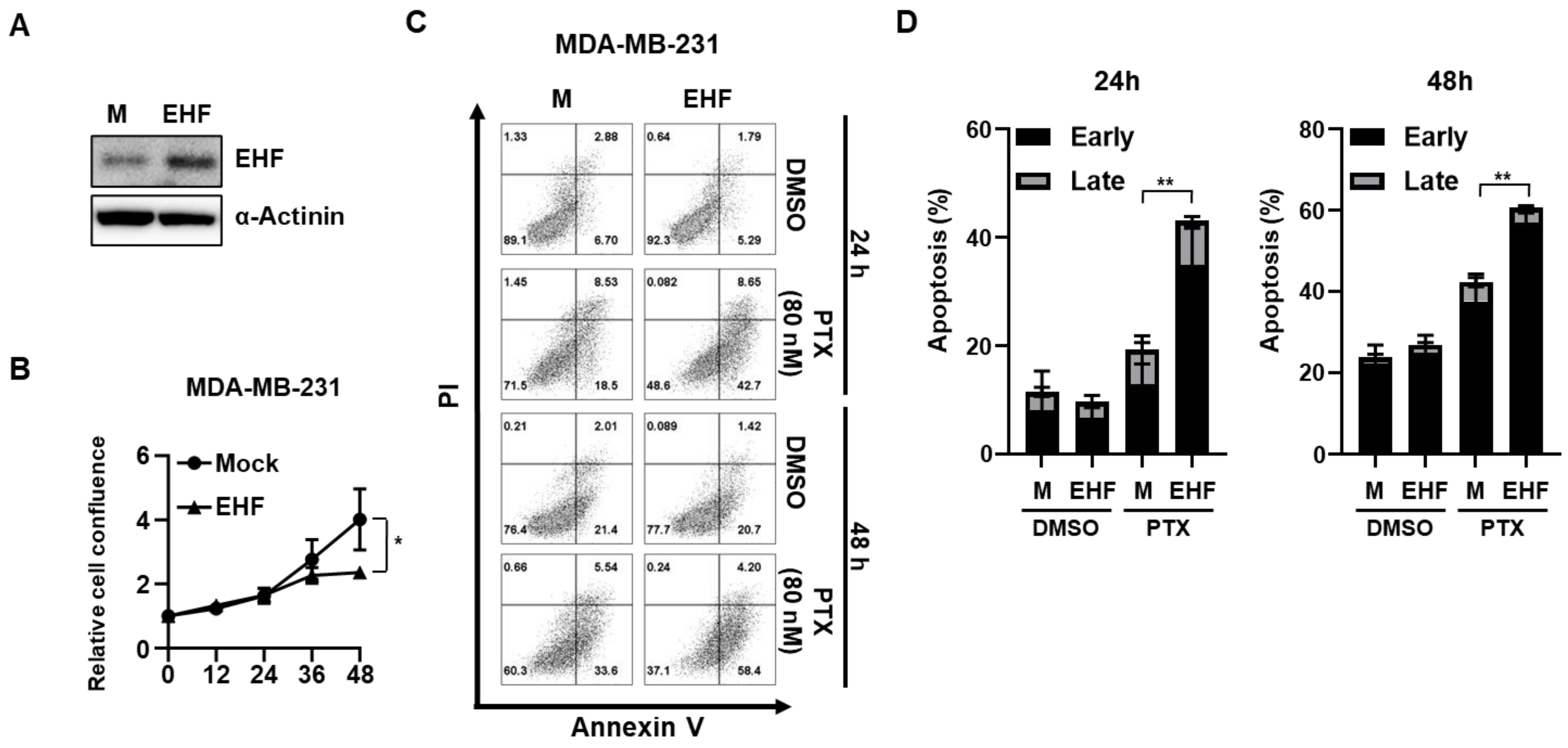 Cancers 15 05270 g002