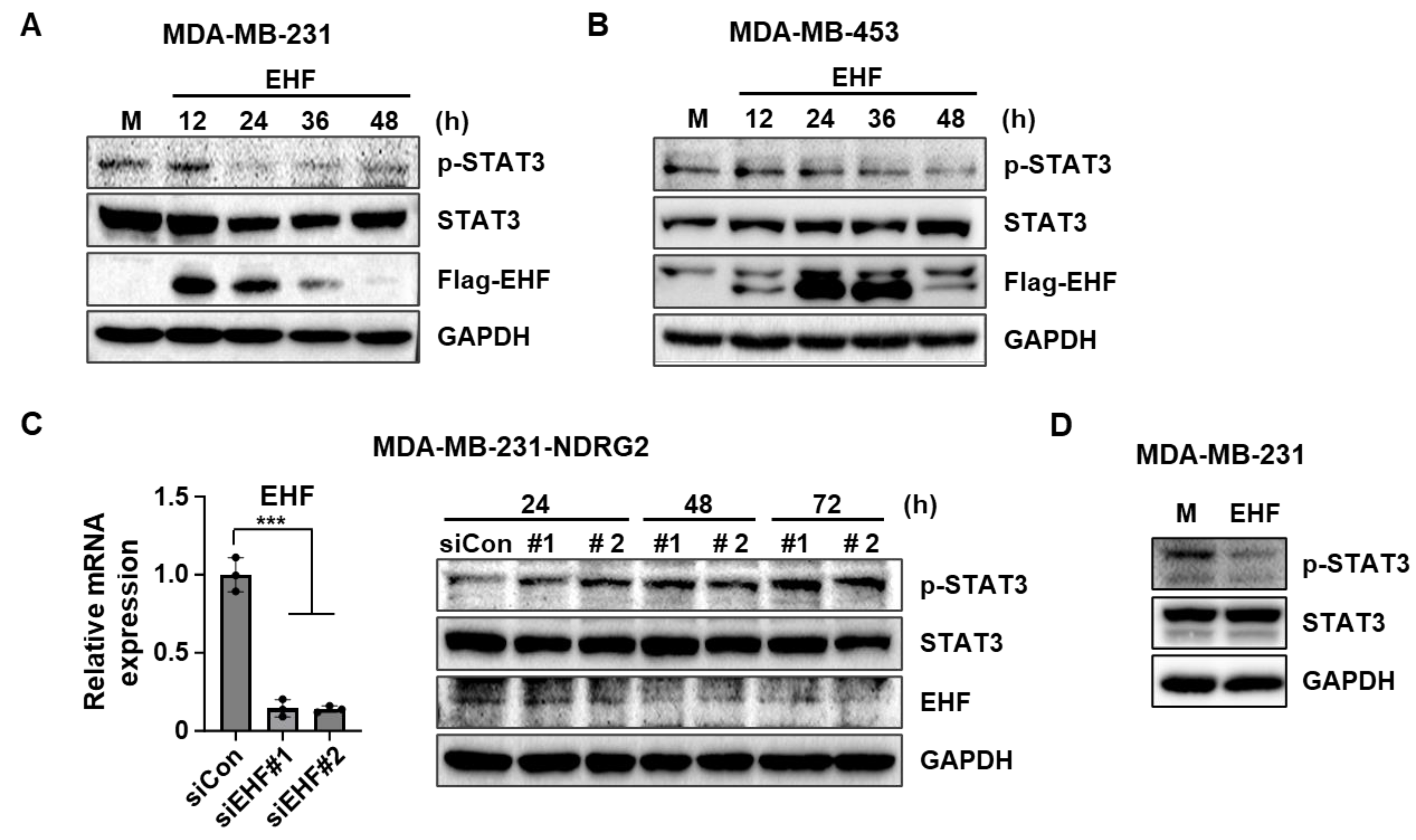 Cancers 15 05270 g005