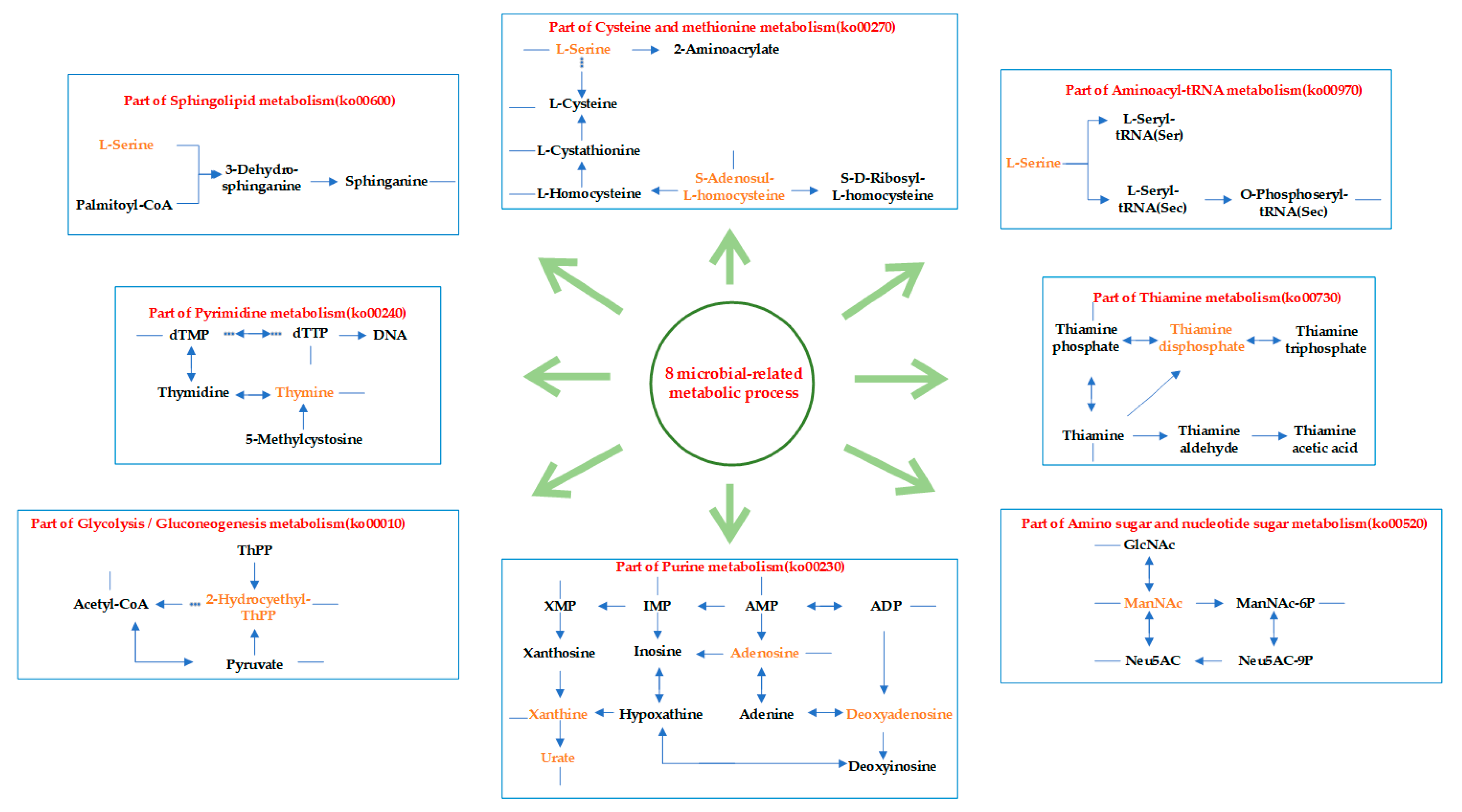 Cancers 15 05271 g009