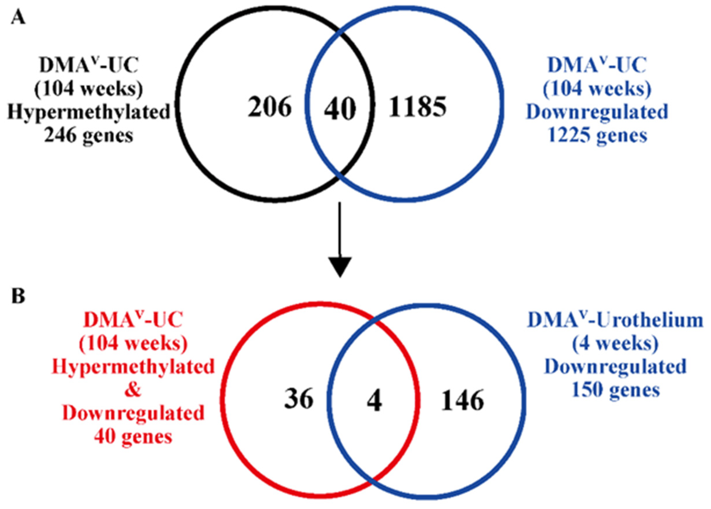 Cancers 15 05274 g001 Cancers 15 05274 g001