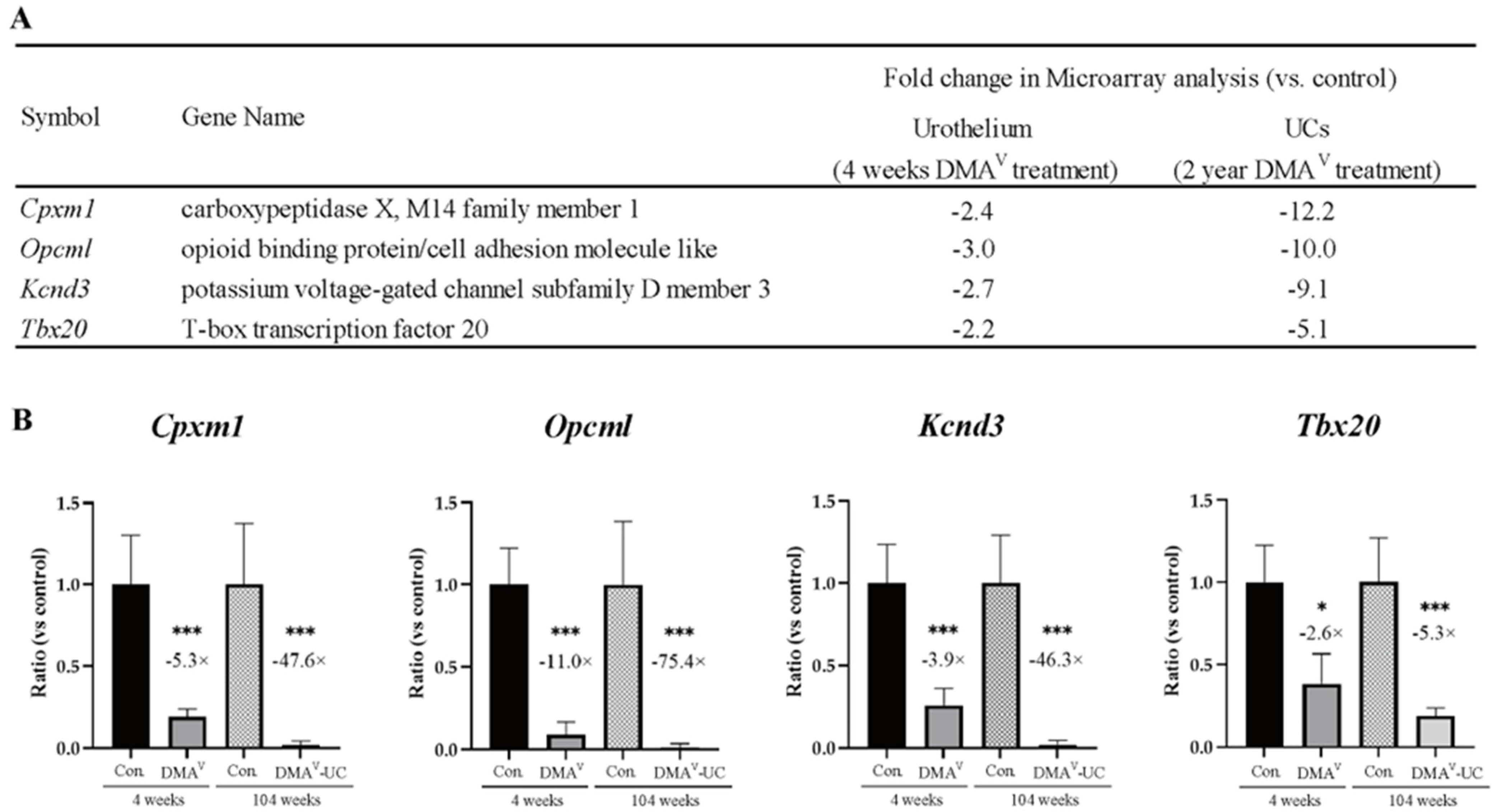 Cancers 15 05274 g002 Cancers 15 05274 g002