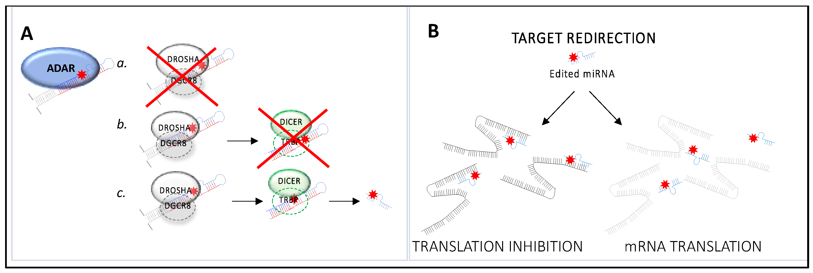 Cancers 15 05277 g003 Cancers 15 05277 g003