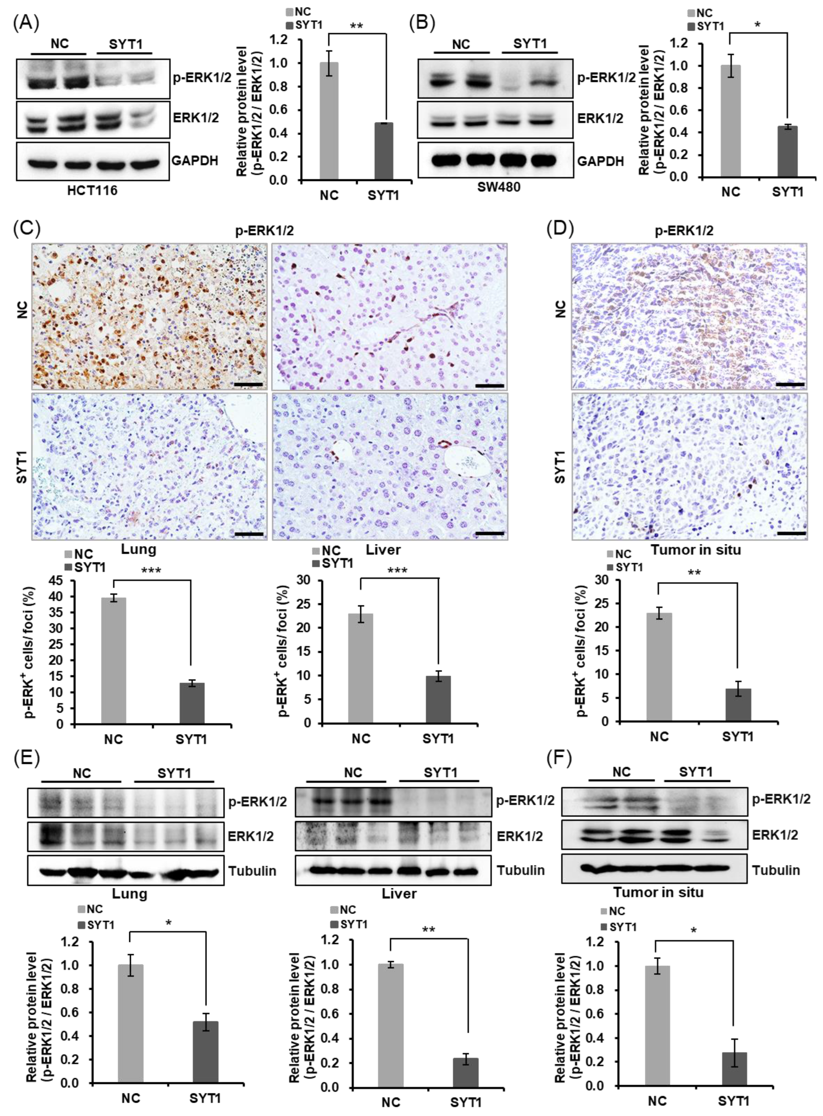Cancers 15 05282 g007