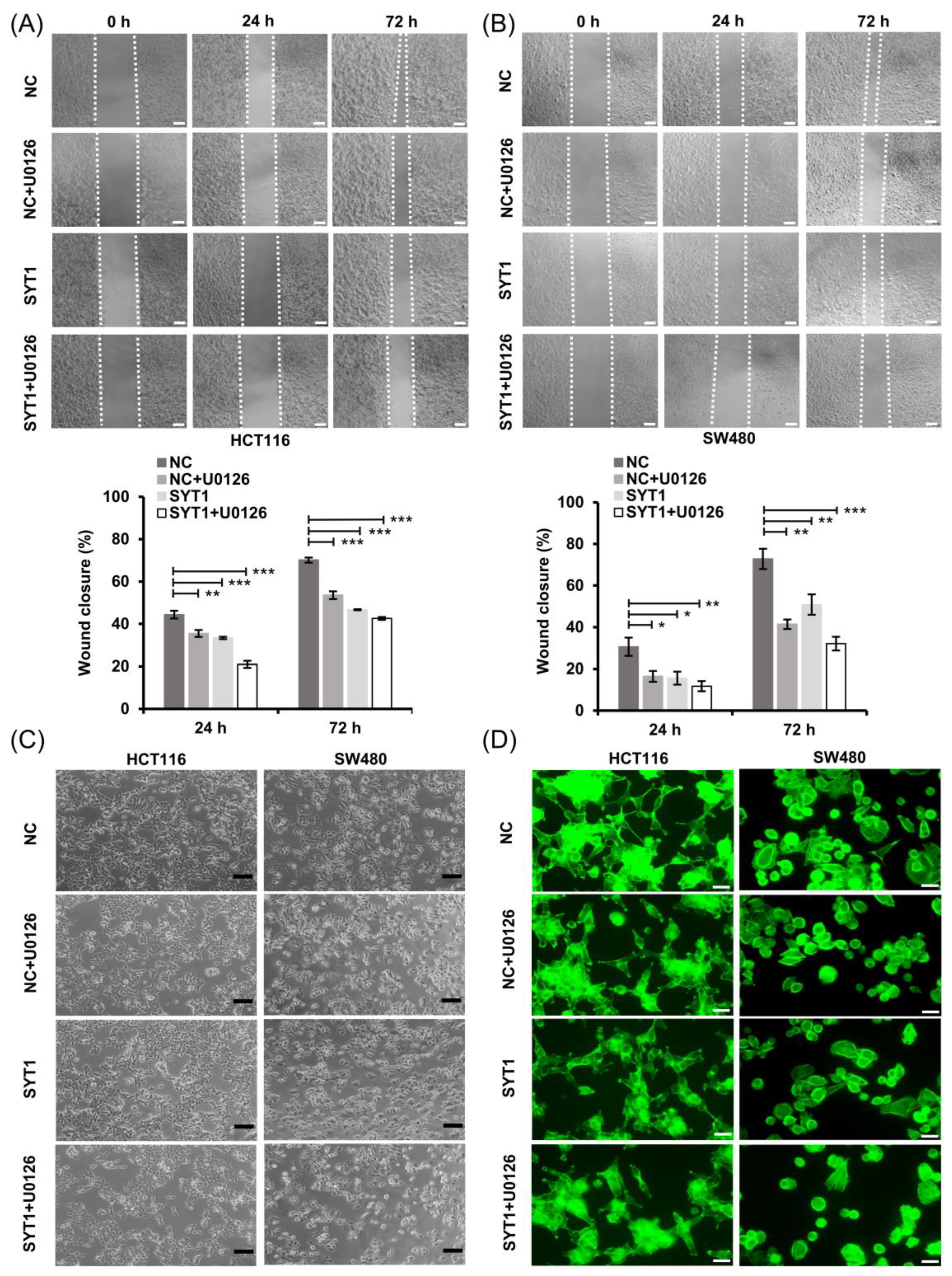 Cancers 15 05282 g008a