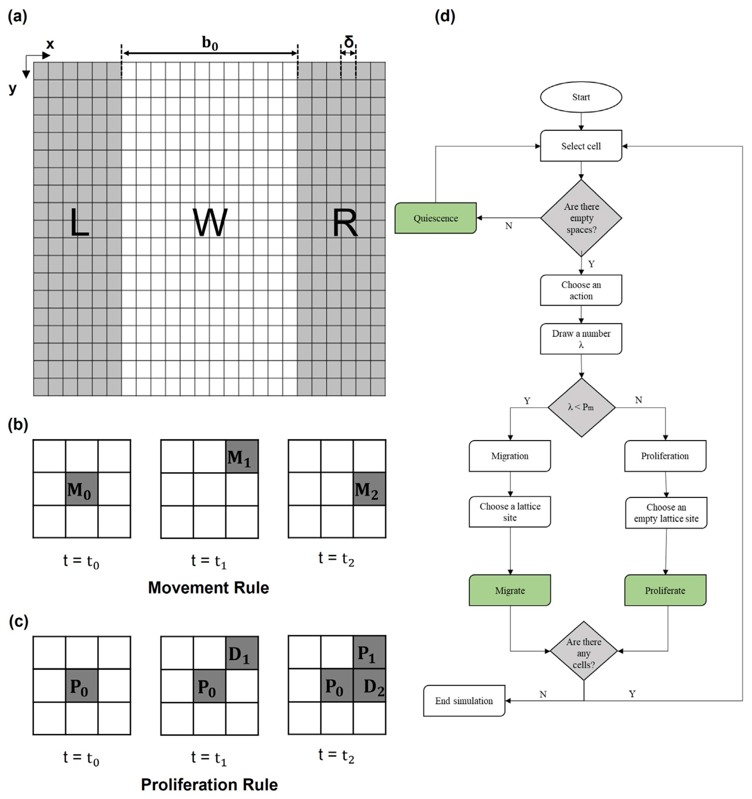 Cancers 15 05284 g001