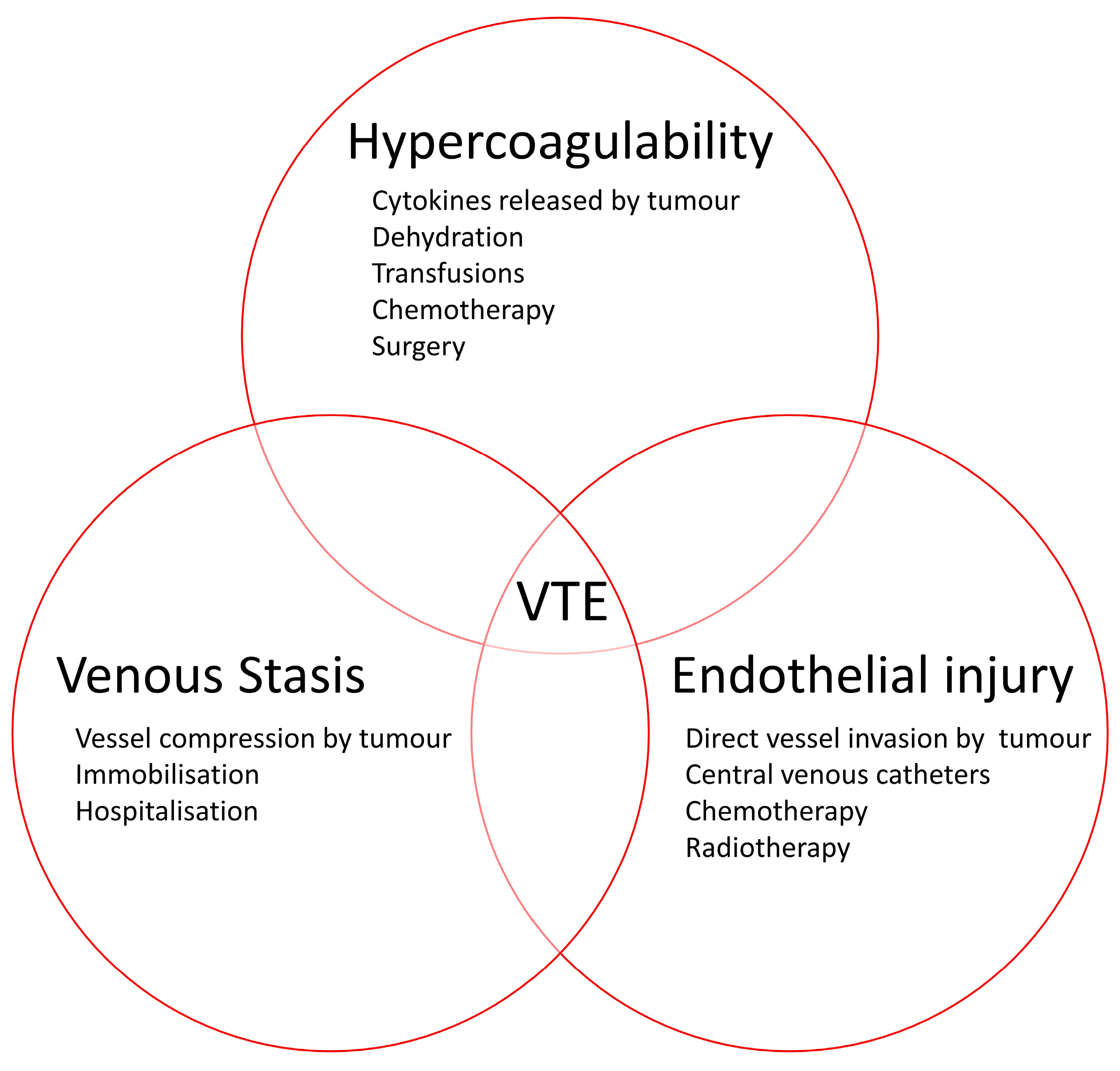 Cancers 15 05293 g001 Cancers 15 05293 g001