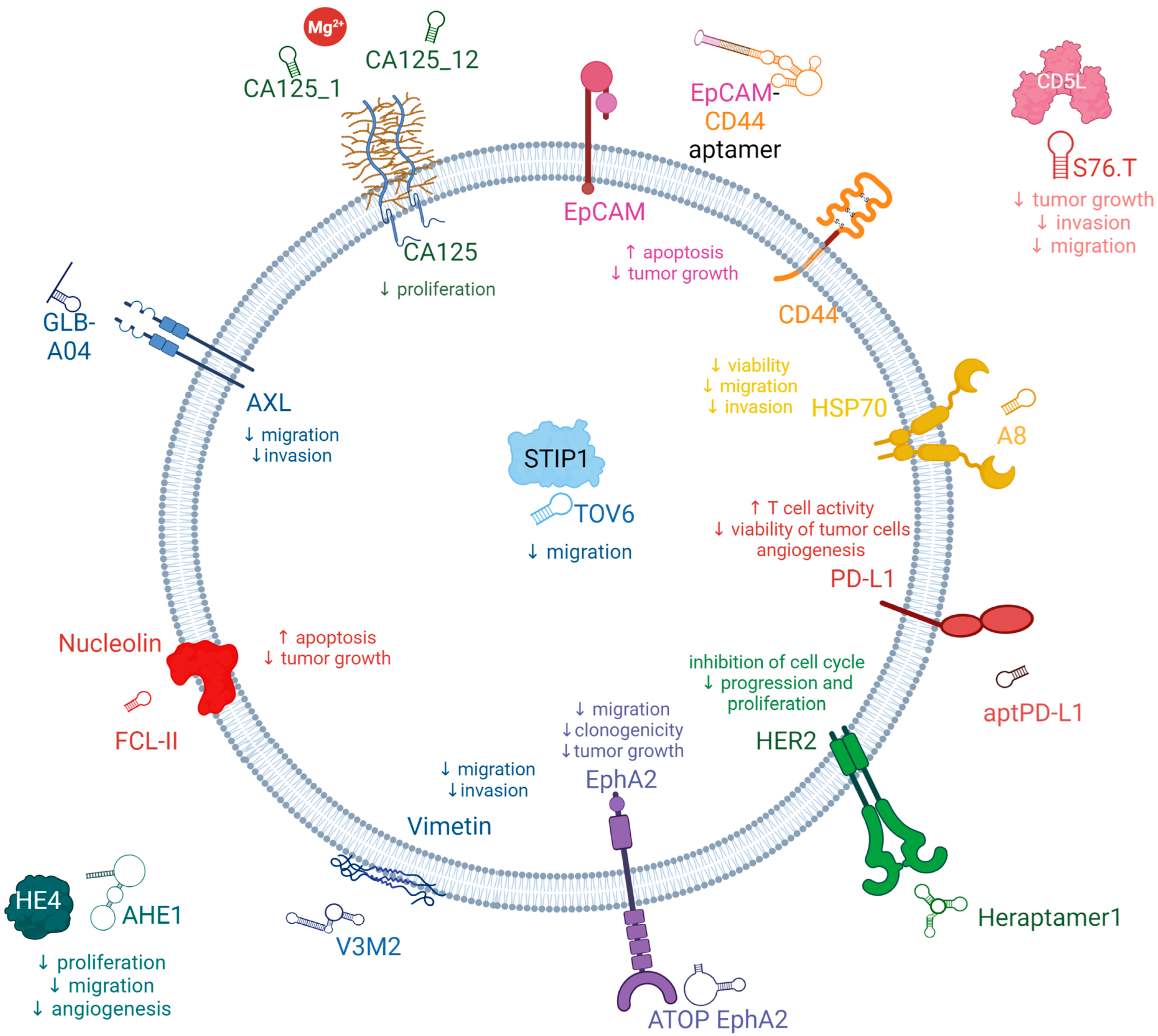 Cancers 15 05300 g002 Cancers 15 05300 g002